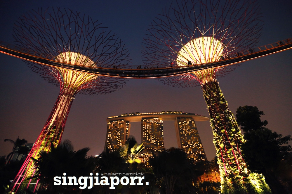 singapore photojournalism street photography gardens by the bay