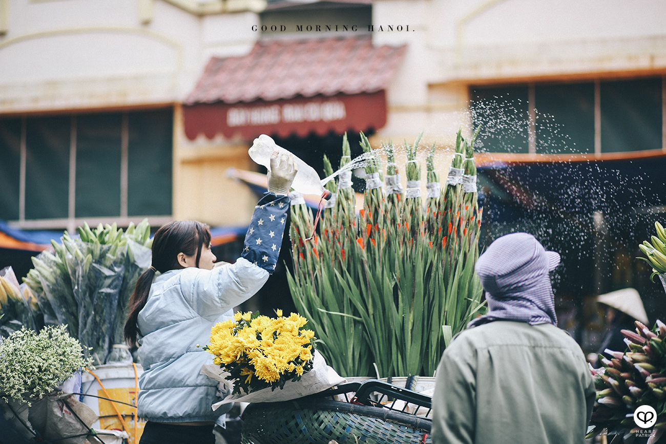 heartpatrick travel hanoi vietnam street photography street flower vendor