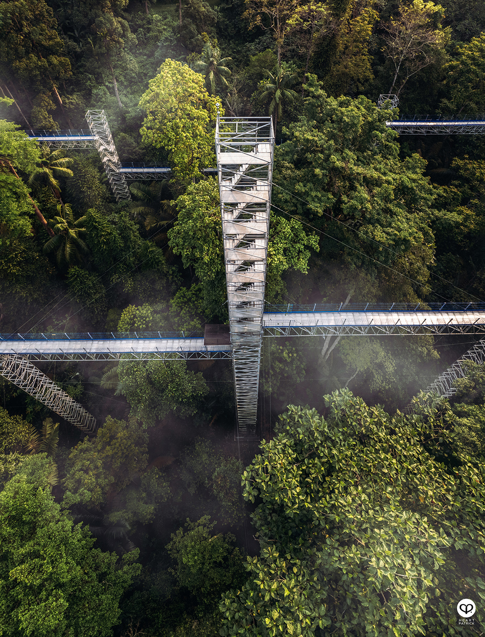 heartpatrick aerial photography urban exploring forest skywalk FRIM kepong