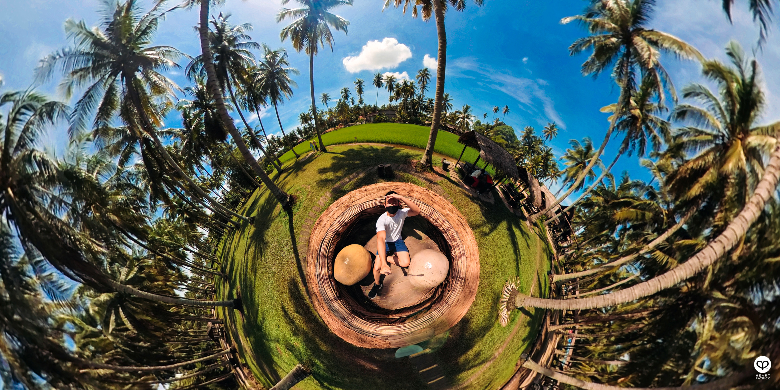 heartpatrick urban exploring kampung agong penang paddy field coconut trees