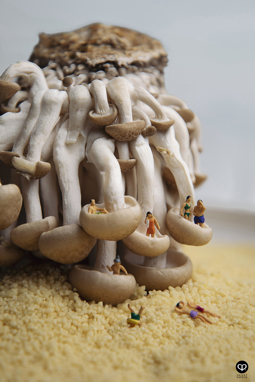 heartpatrick photographer malaysia product miniature photography mushroom onsen