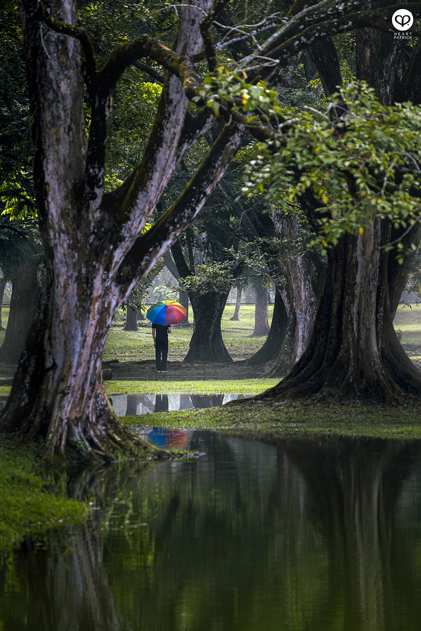 heartpatrick urban exploring taiping lake gardens perak malaysia