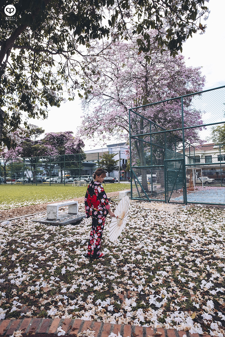 heartpatrick urban exploring portraits tecoma sakura spring malaysia kuala lumpur