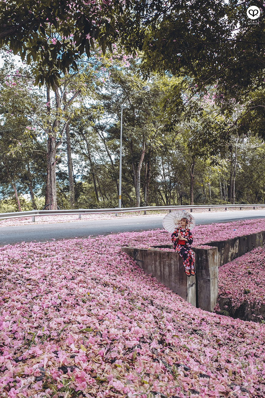 heartpatrick urban exploring portraits tecoma sakura spring malaysia kuala lumpur