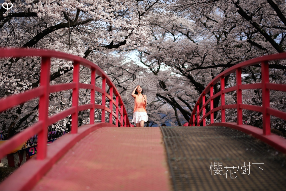 heartpatrick wedding prewedding destination sakura japan cherry blossom