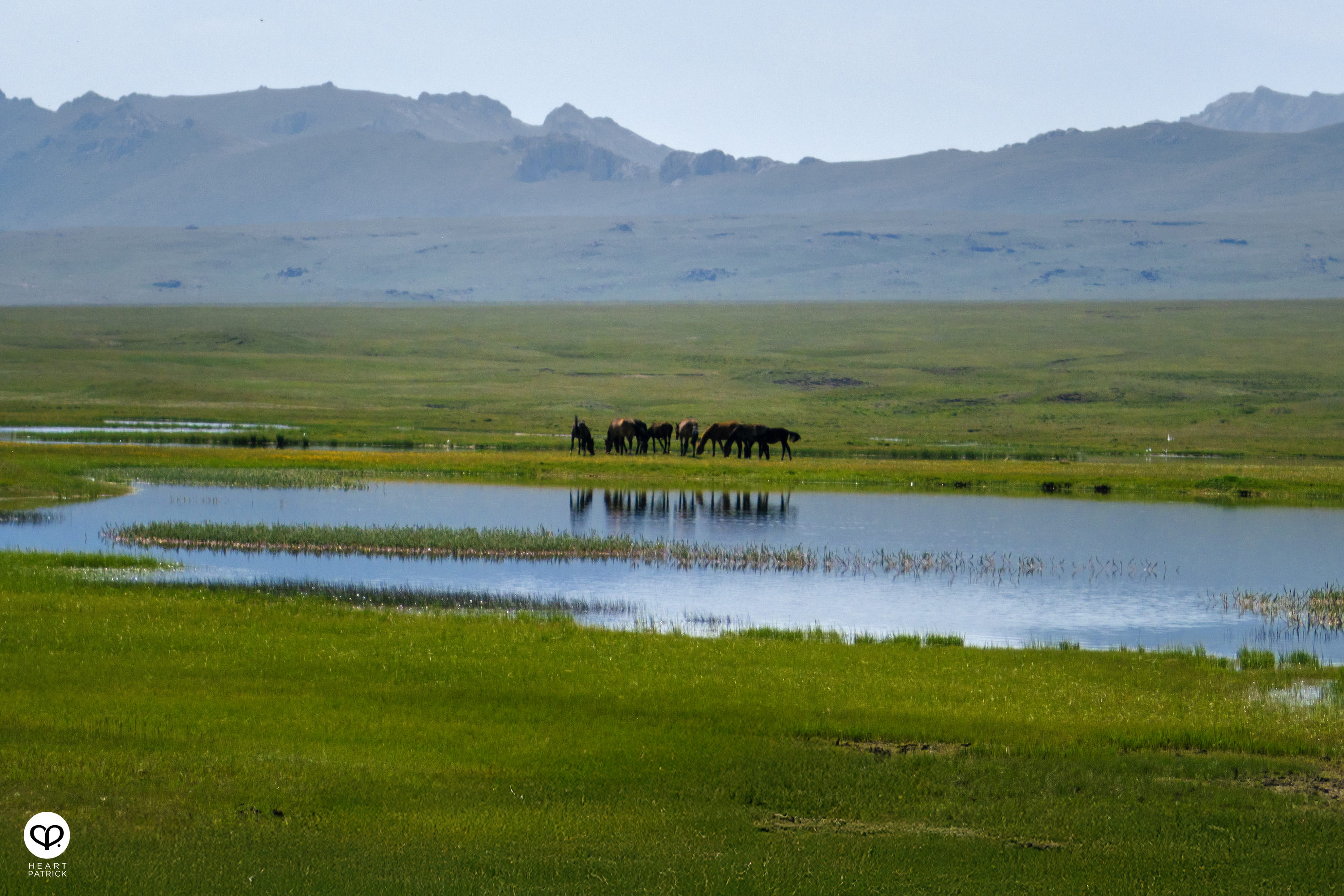 heartpatrick travel photography kyrgyzstan central asia