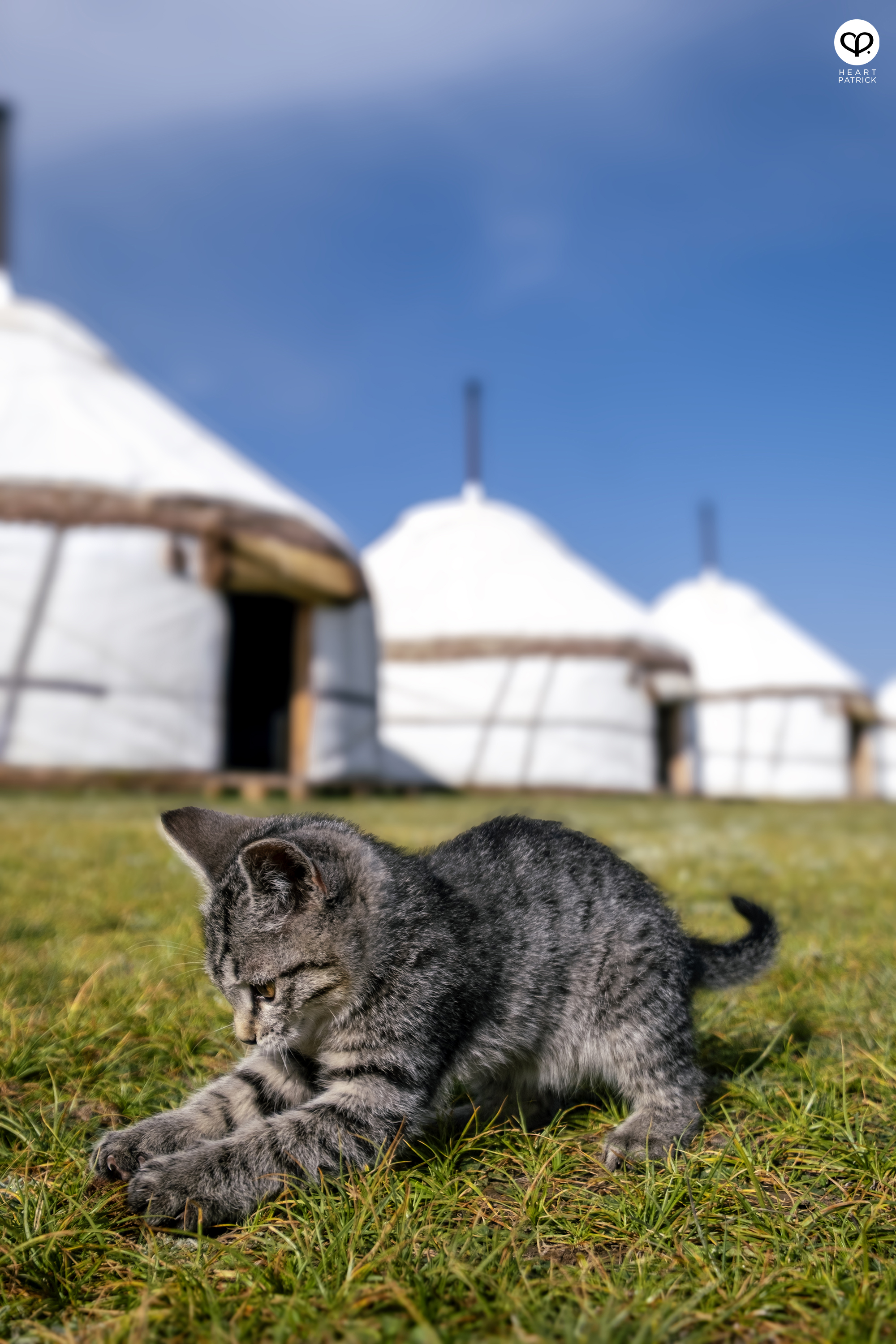 heartpatrick travel photography nomad dream yurt camp song kul lake kyrgyzstan