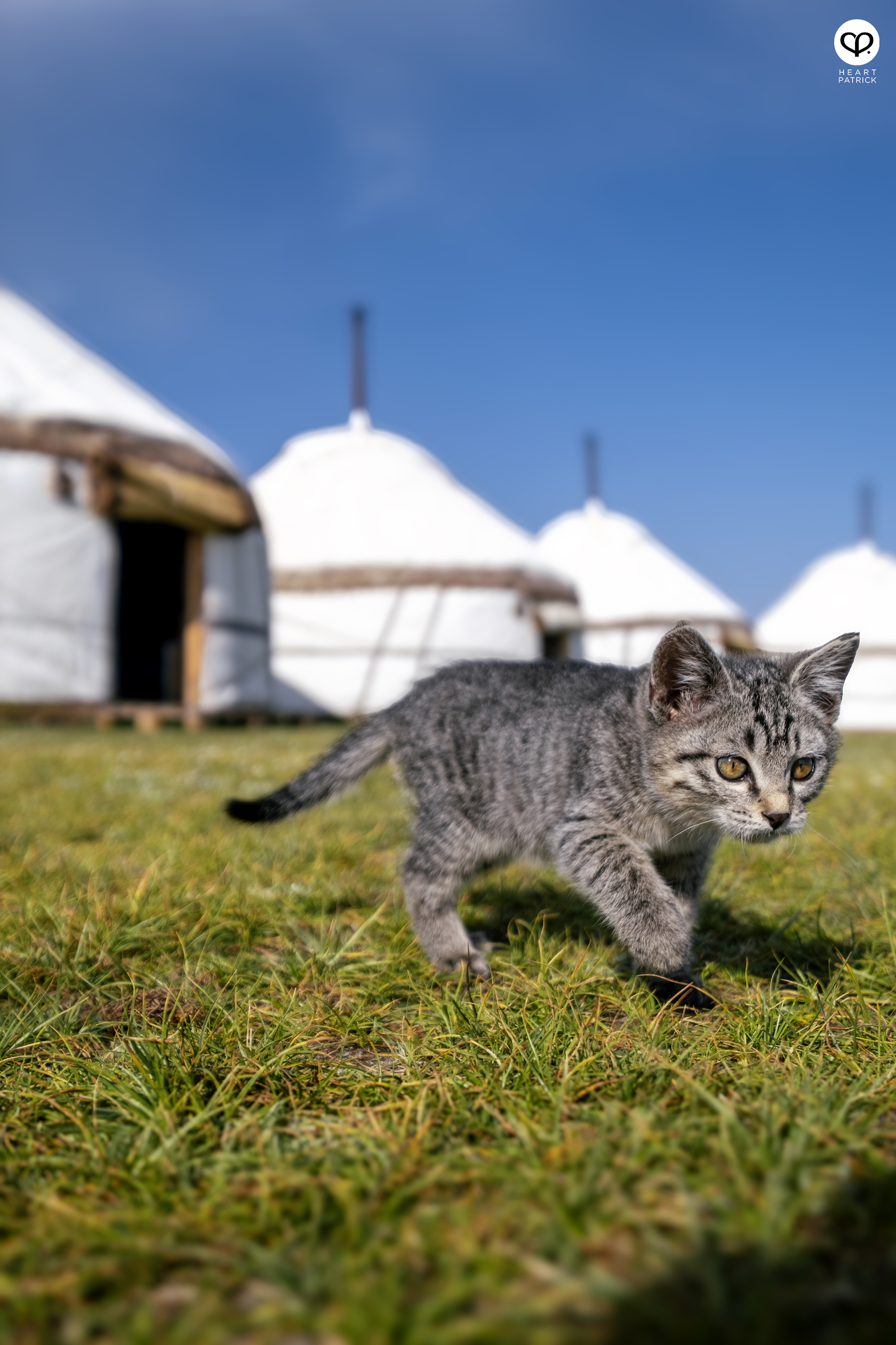 heartpatrick travel photography nomad dream yurt camp song kul lake kyrgyzstan