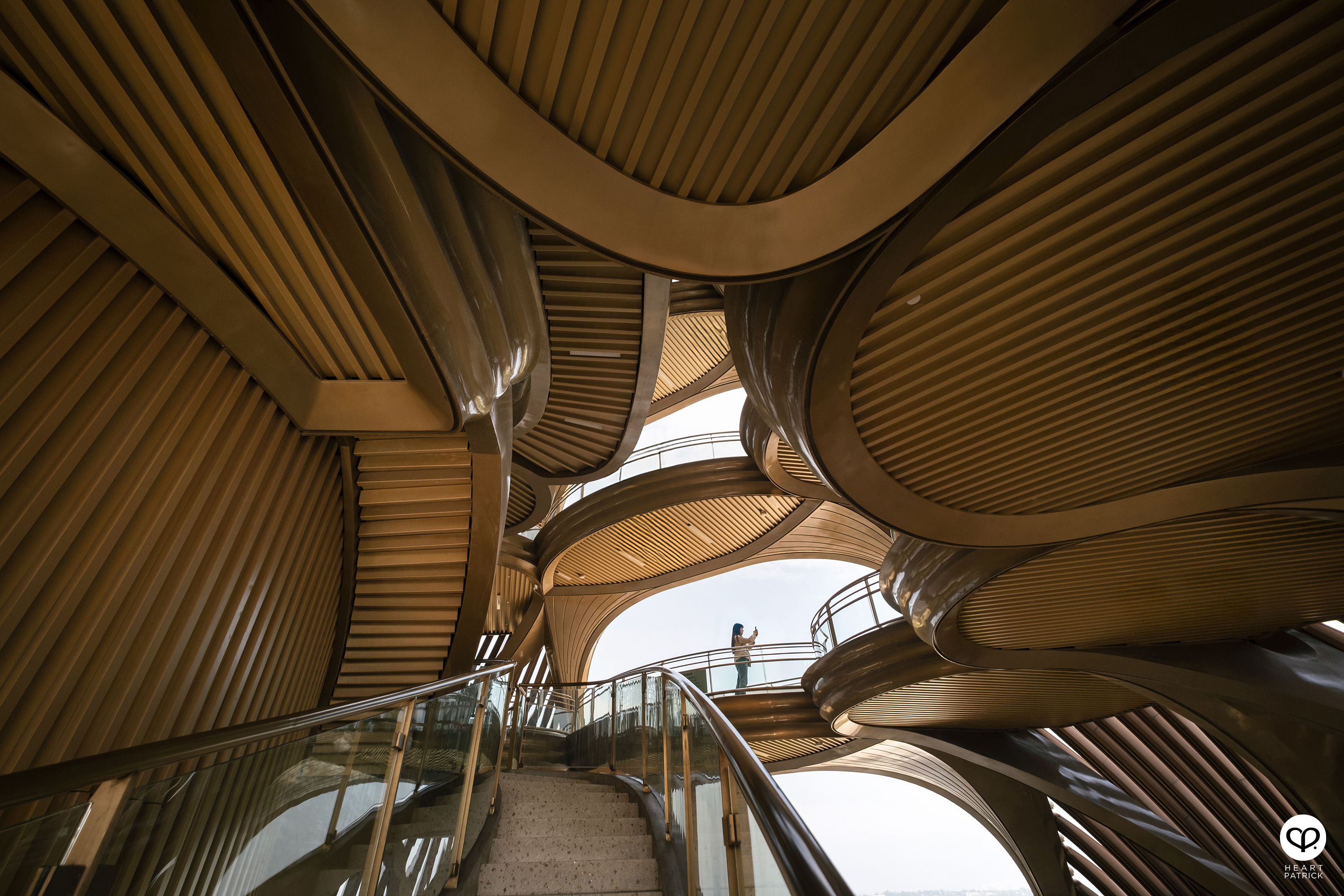 heartpatrick architecture interior photography chengu tower panda research base chengdu china udg atelier alpha