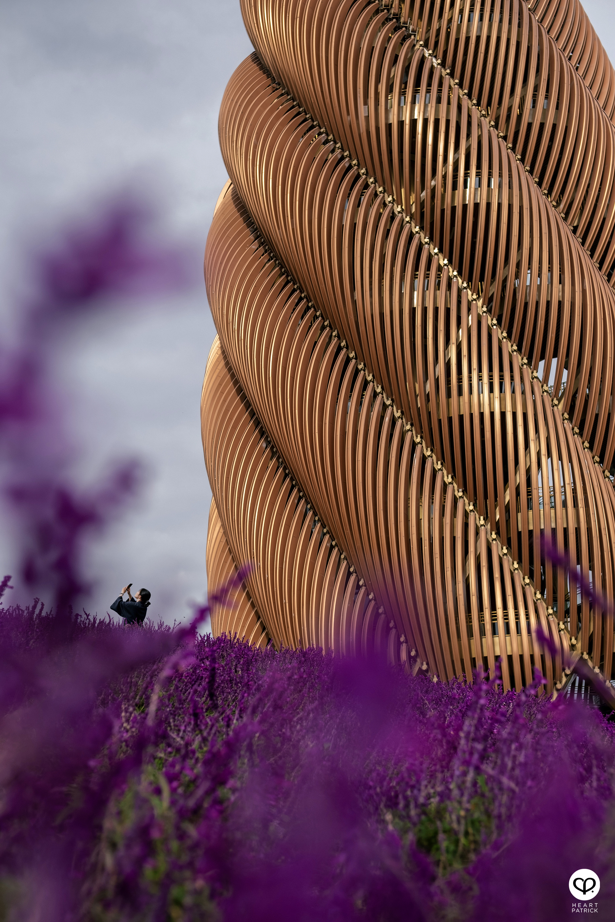 heartpatrick architecture interior photography chengu tower panda research base chengdu china udg atelier alpha