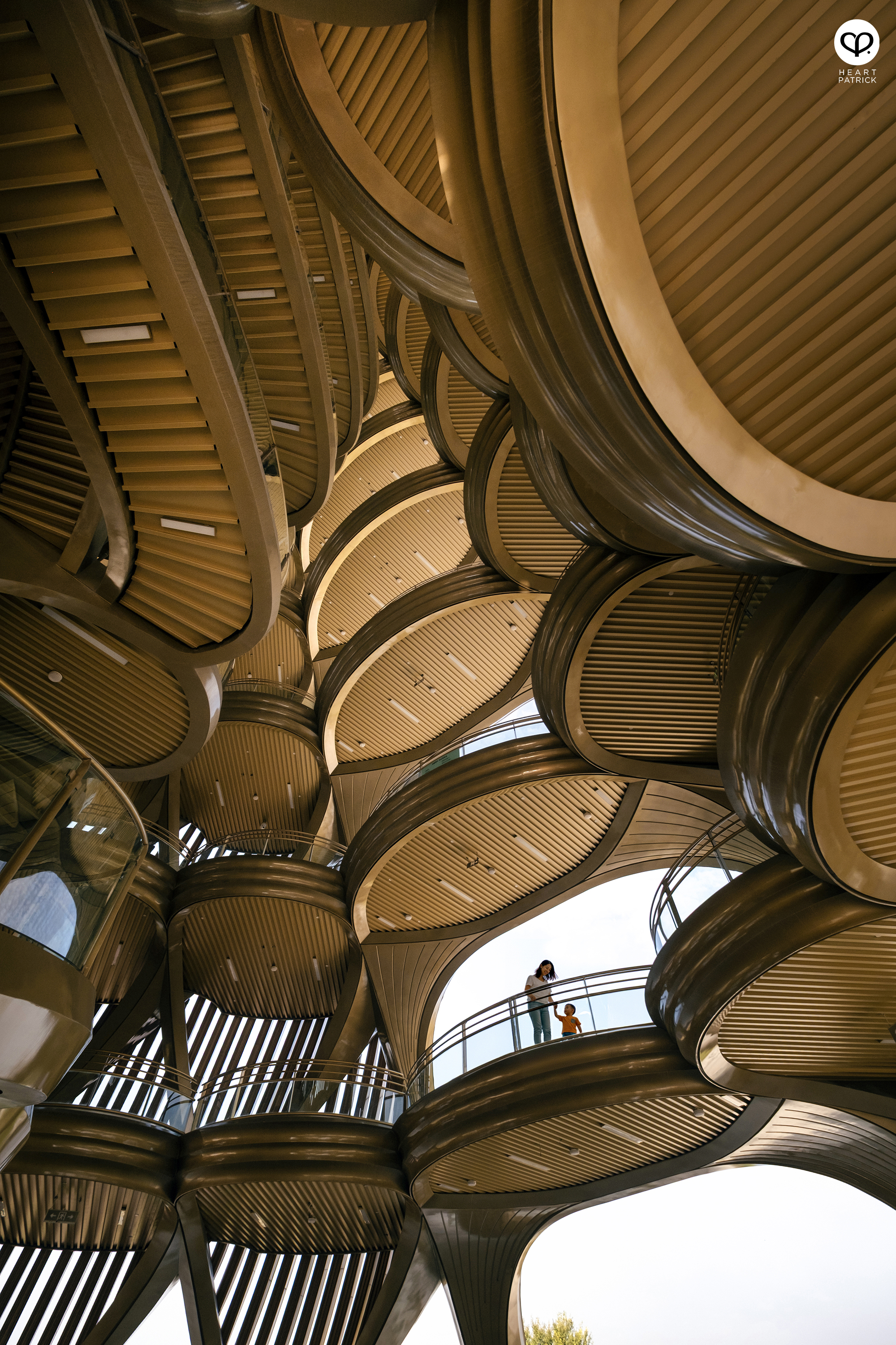 heartpatrick architecture interior photography chengu tower panda research base chengdu china udg atelier alpha