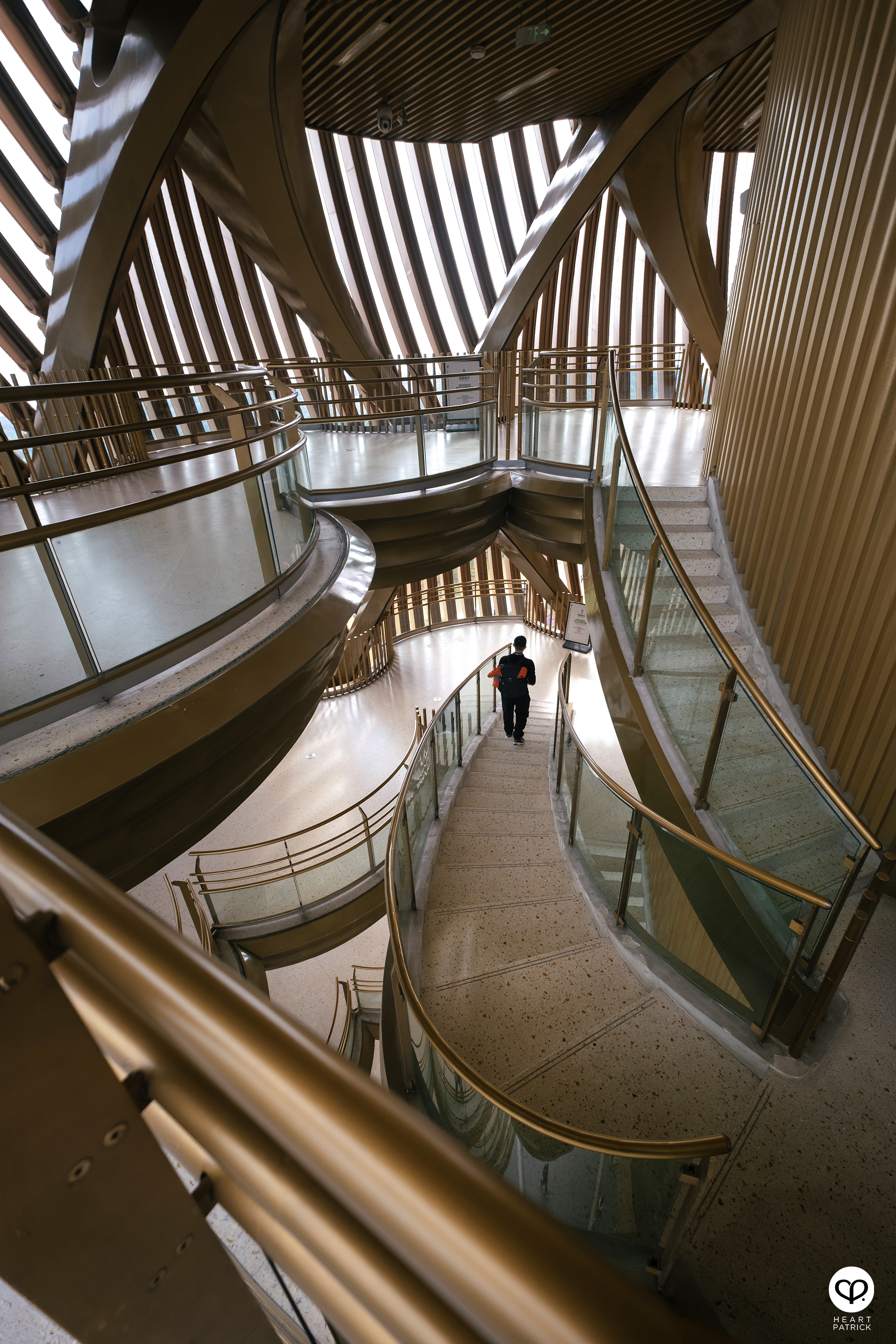 heartpatrick architecture interior photography chengu tower panda research base chengdu china udg atelier alpha