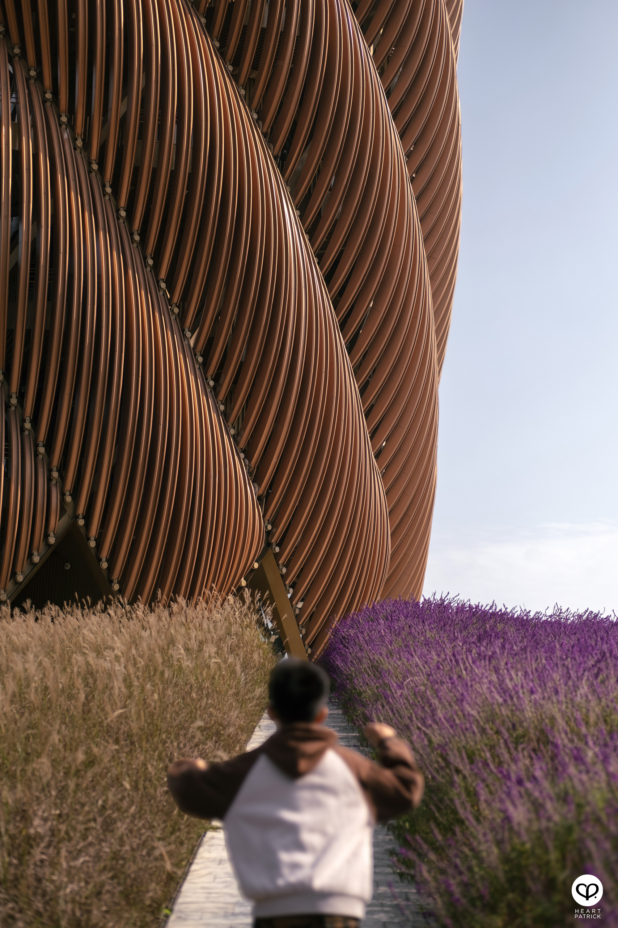 heartpatrick architecture interior photography chengu tower panda research base chengdu china udg atelier alpha