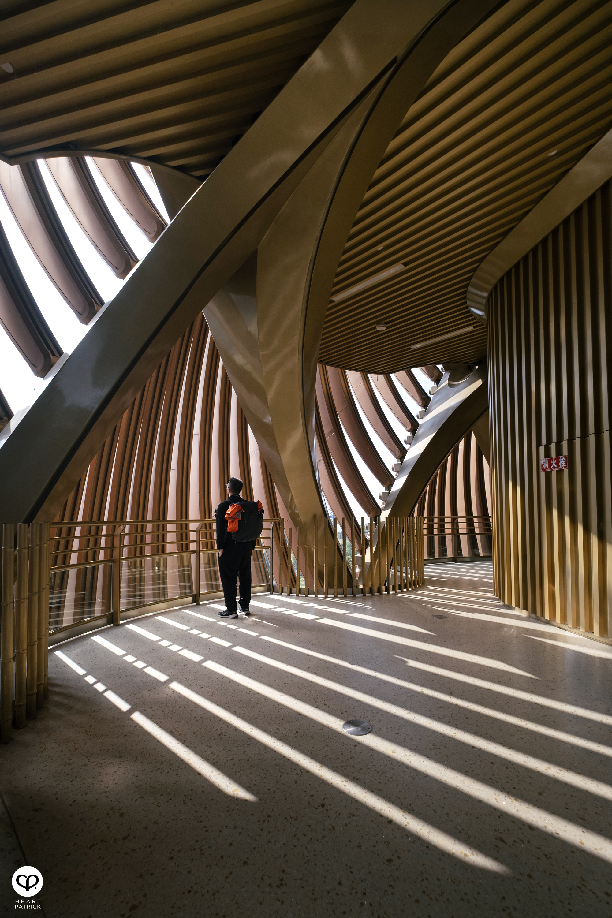 heartpatrick architecture interior photography chengu tower panda research base chengdu china udg atelier alpha