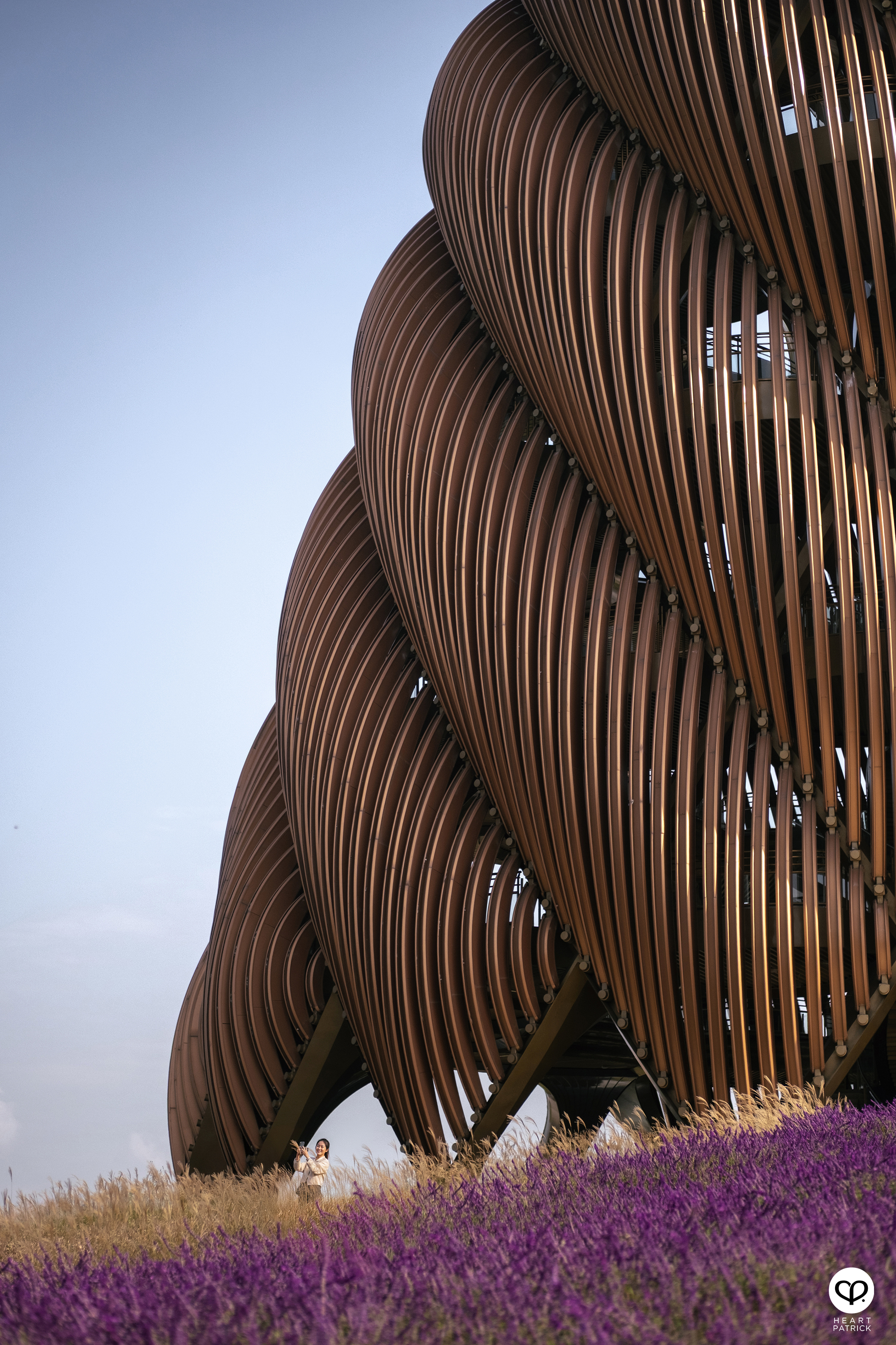 heartpatrick architecture interior photography chengu tower panda research base chengdu china udg atelier alpha