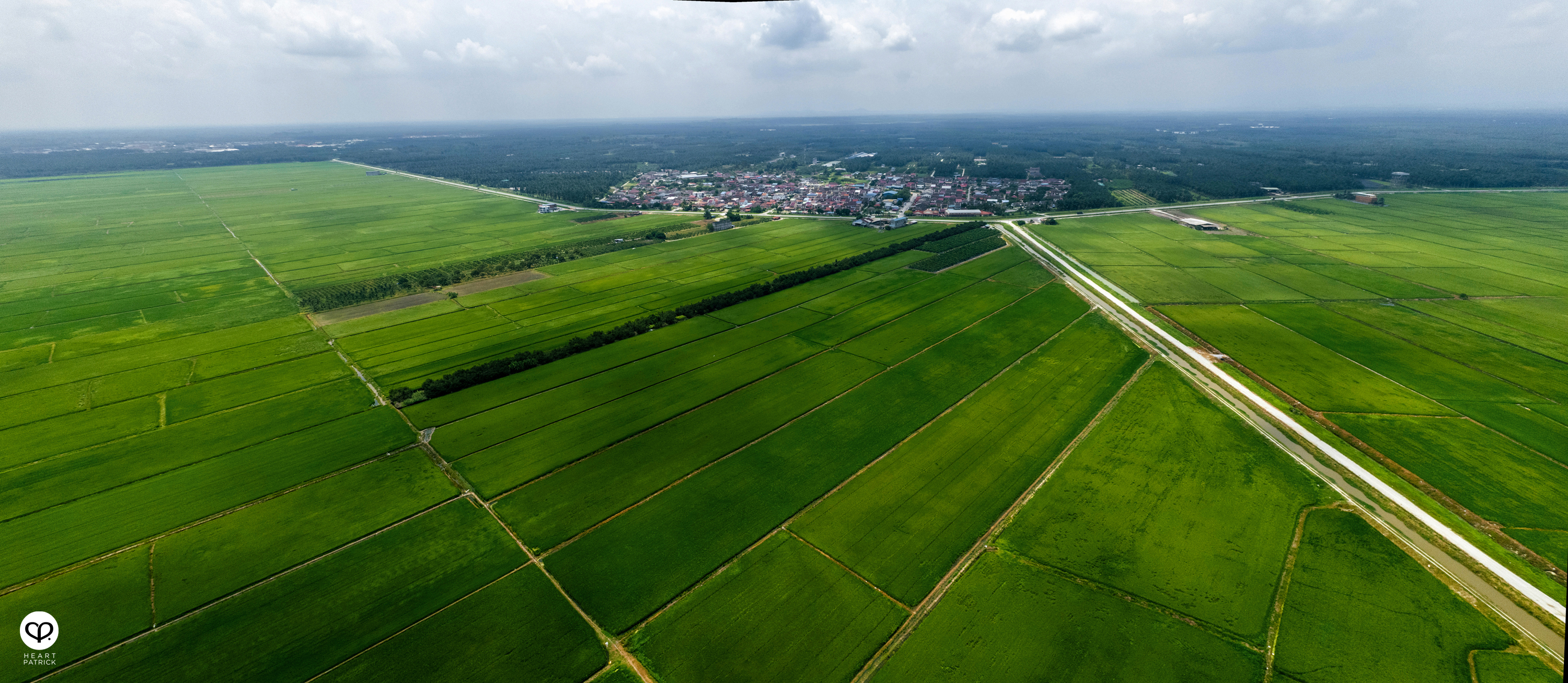 heartpatrick heritage smalltown exploring malaysia chui chak paddy fields perak