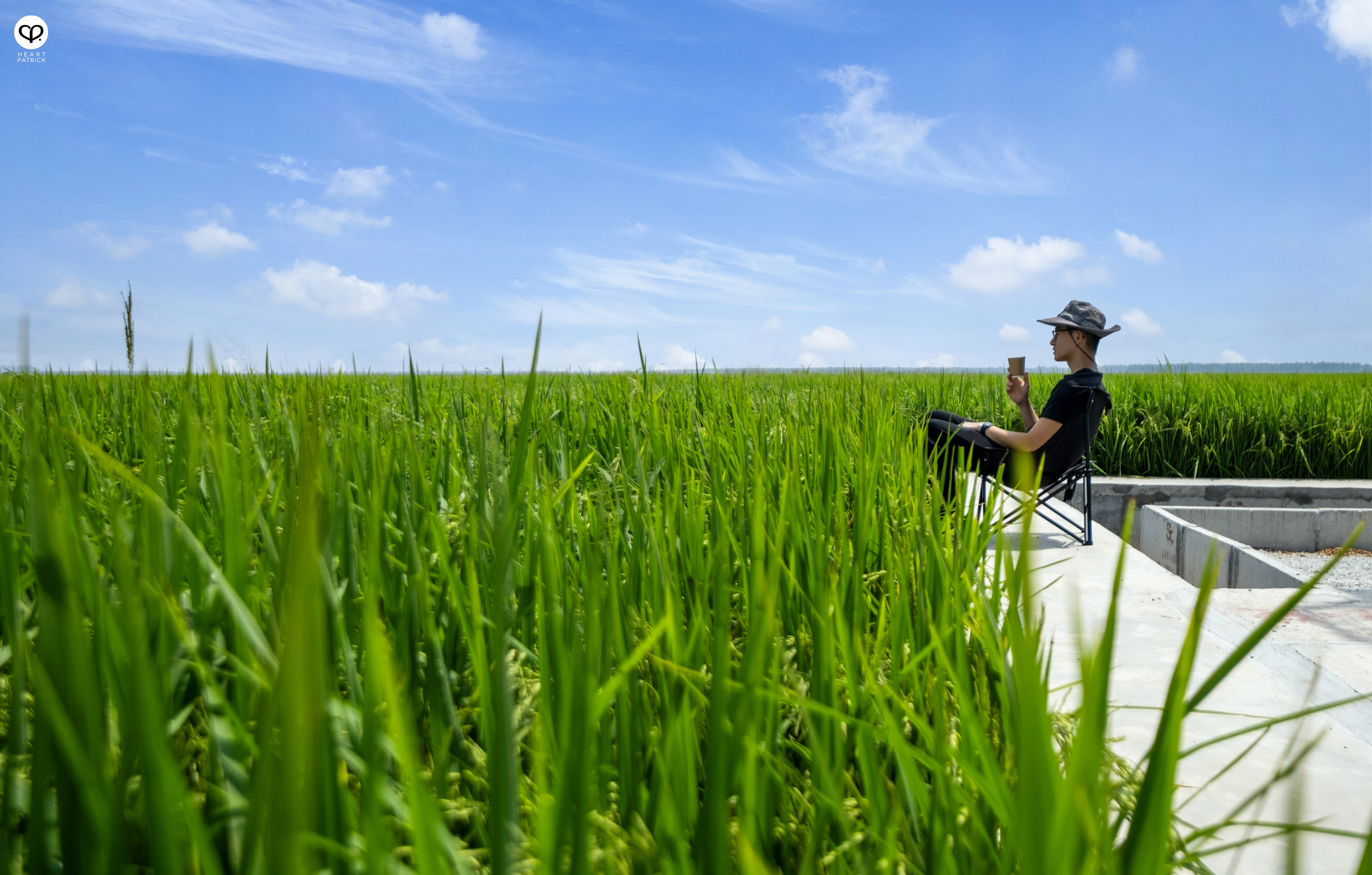 heartpatrick heritage smalltown exploring malaysia chui chak paddy fields perak