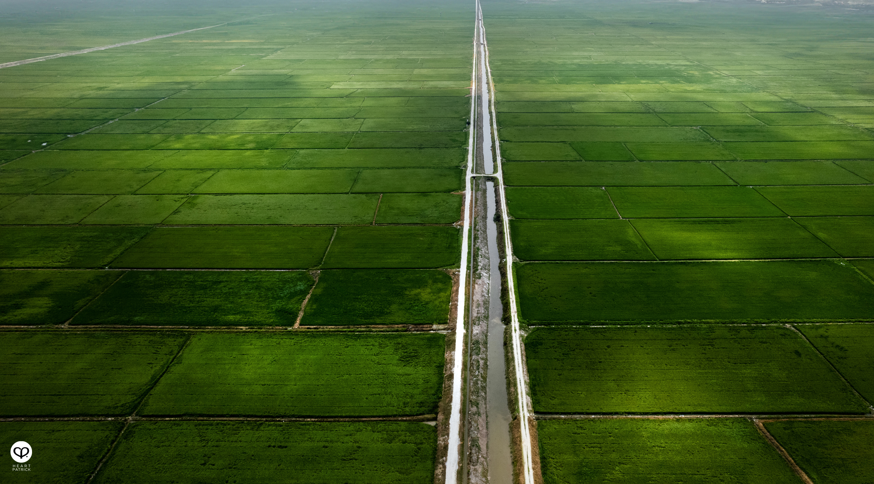 heartpatrick heritage smalltown exploring malaysia chui chak paddy fields perak