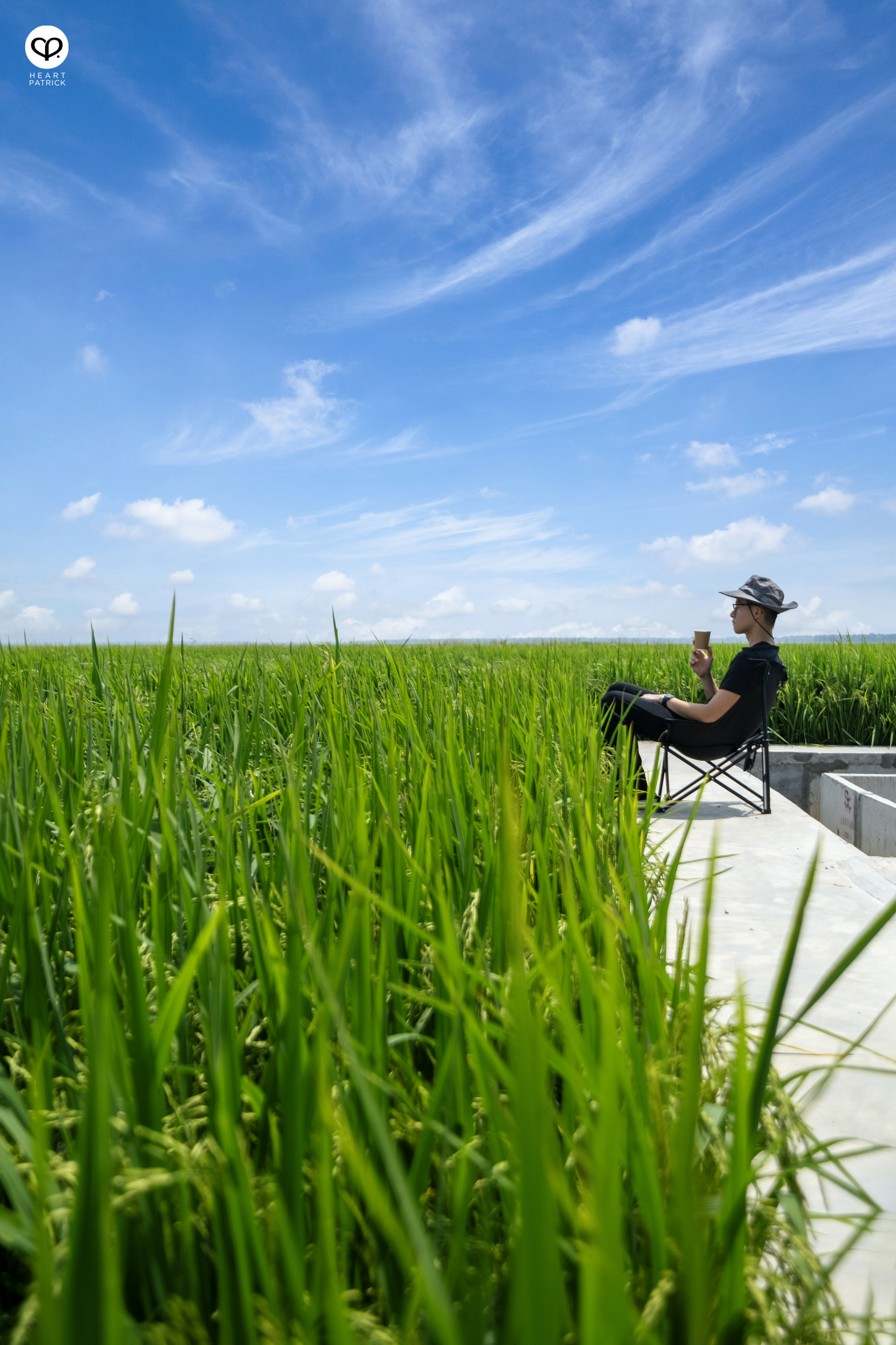 heartpatrick heritage smalltown exploring malaysia chui chak paddy fields perak