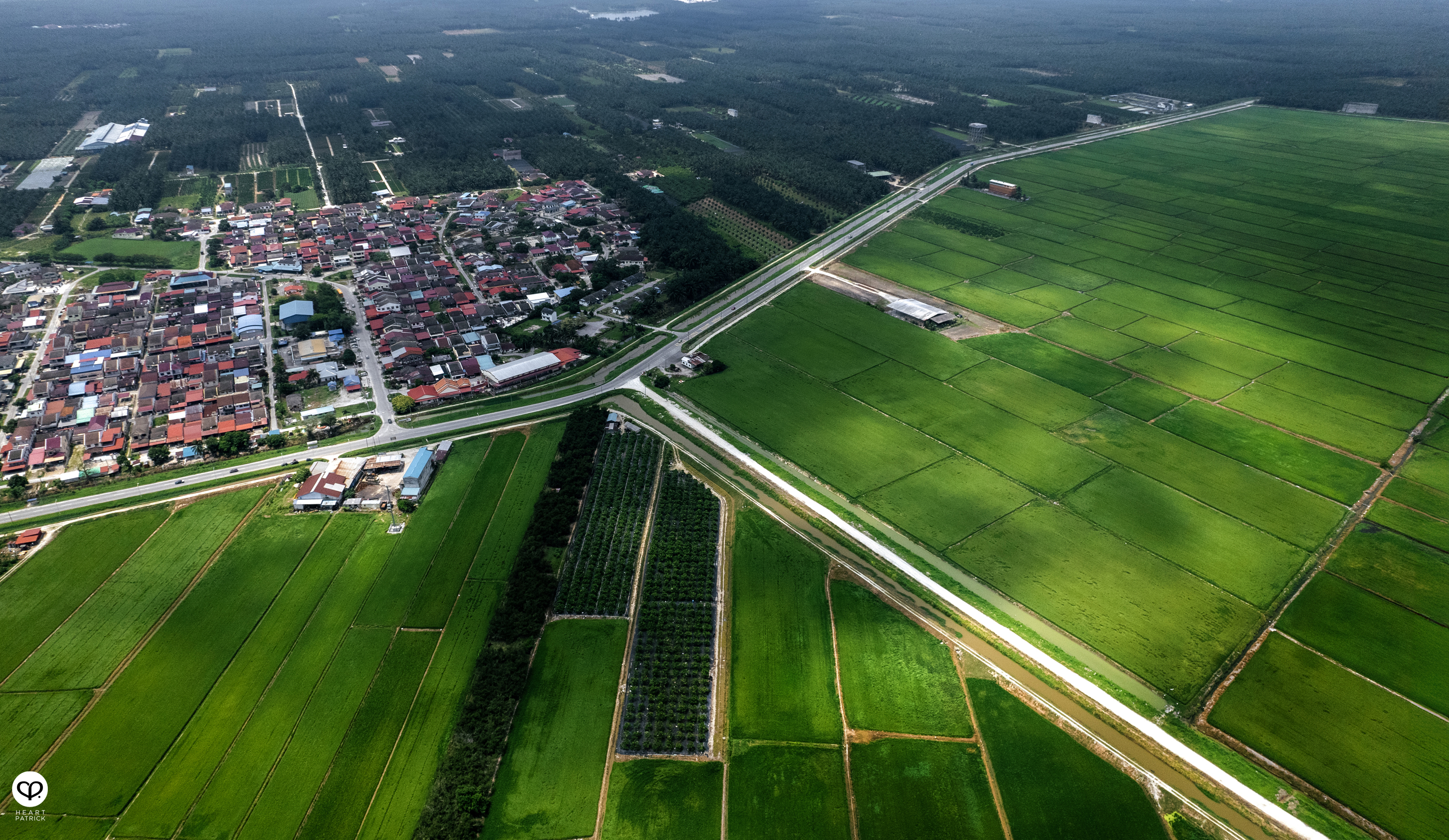 heartpatrick heritage smalltown exploring malaysia chui chak paddy fields perak