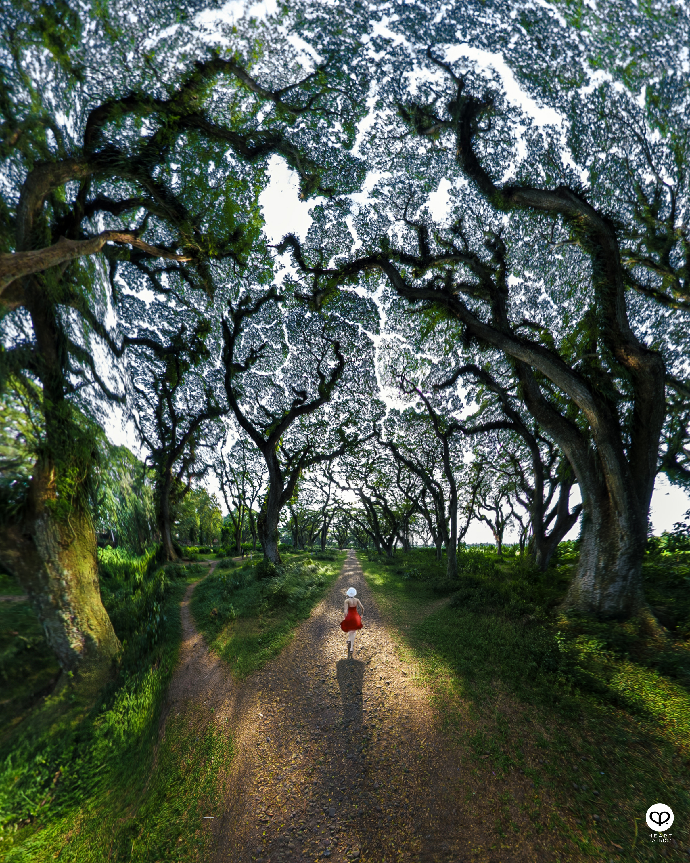 heartpatrick travel photography de djawatan east java