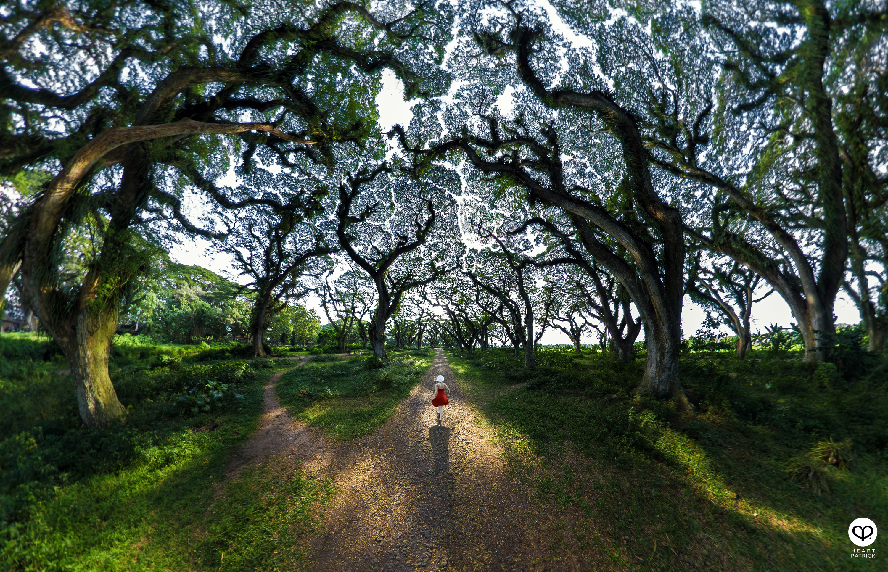 heartpatrick travel photography de djawatan east java