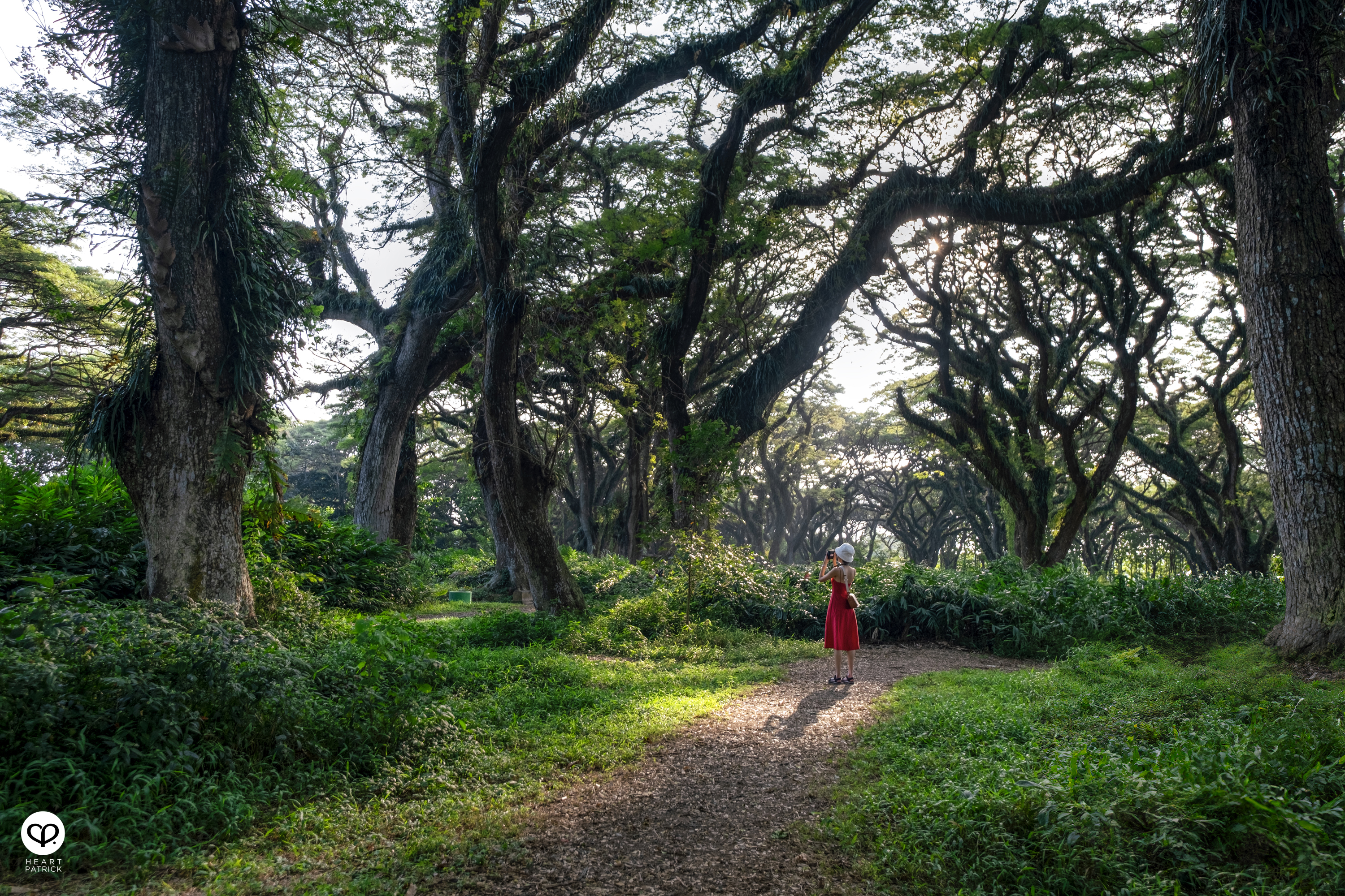 heartpatrick travel photography de djawatan east java