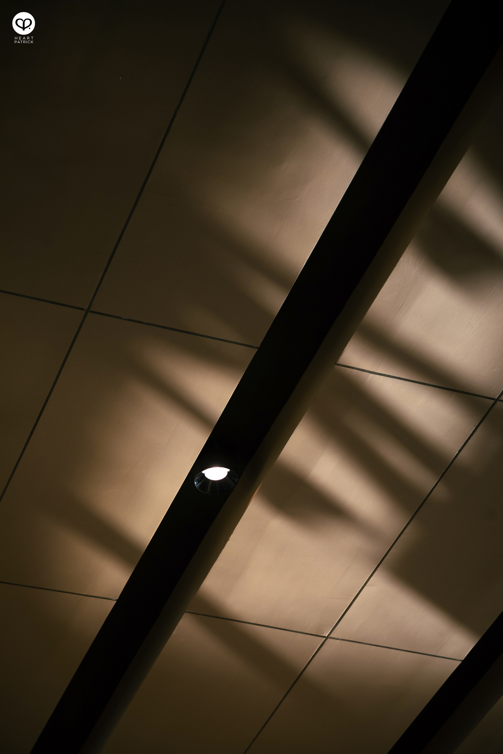 heartpatrick architecture property developer photography d erica damansara perdana exsim urban catalust architecture