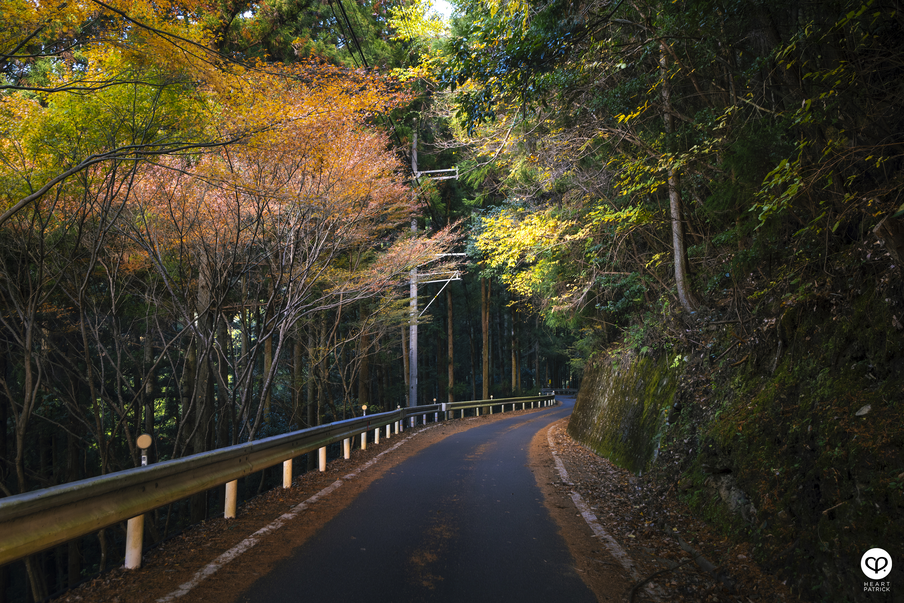 heartpatrick travel photography autumn iya valley tokushima japan