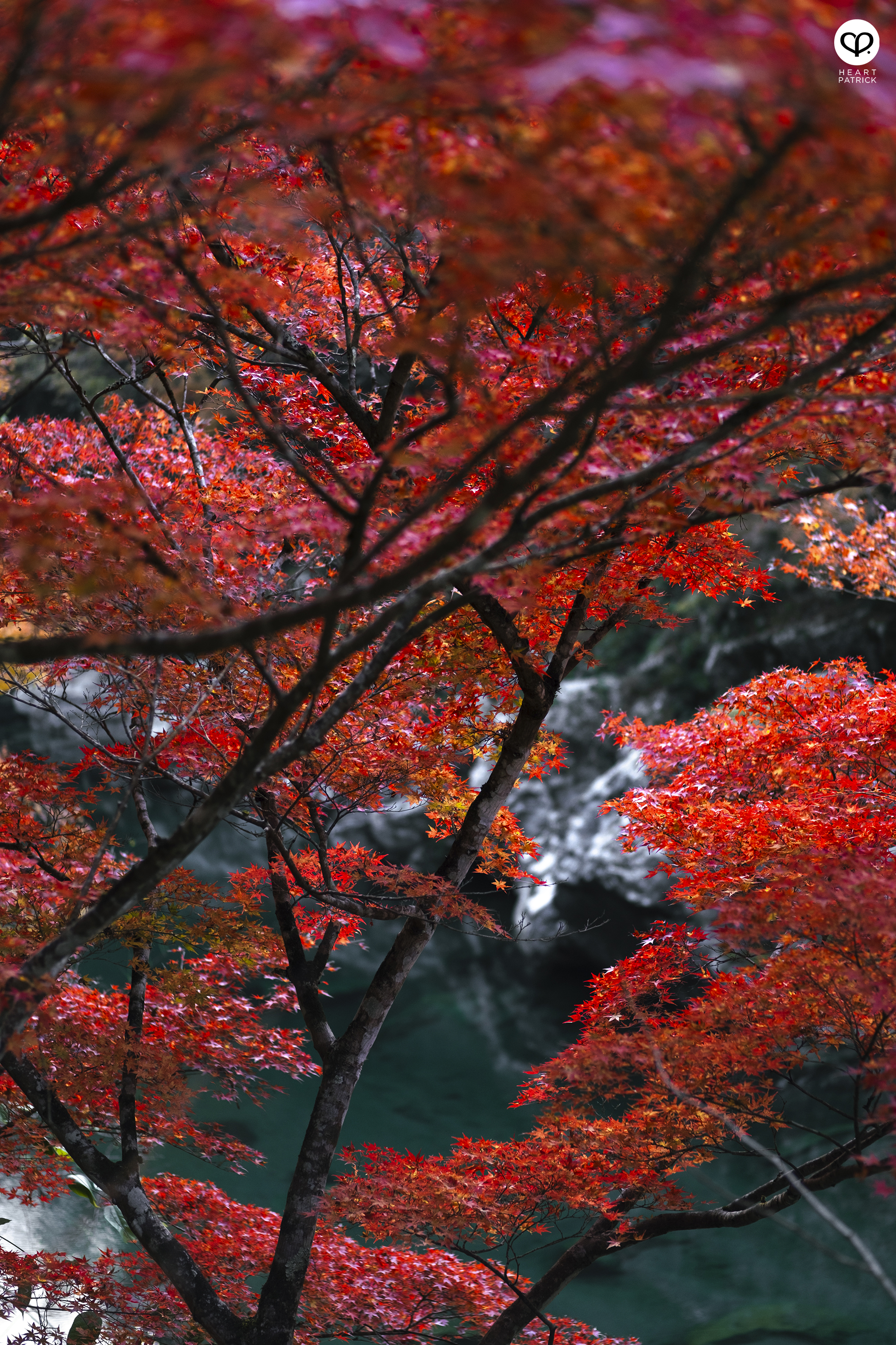 heartpatrick travel photography autumn iya valley tokushima japan