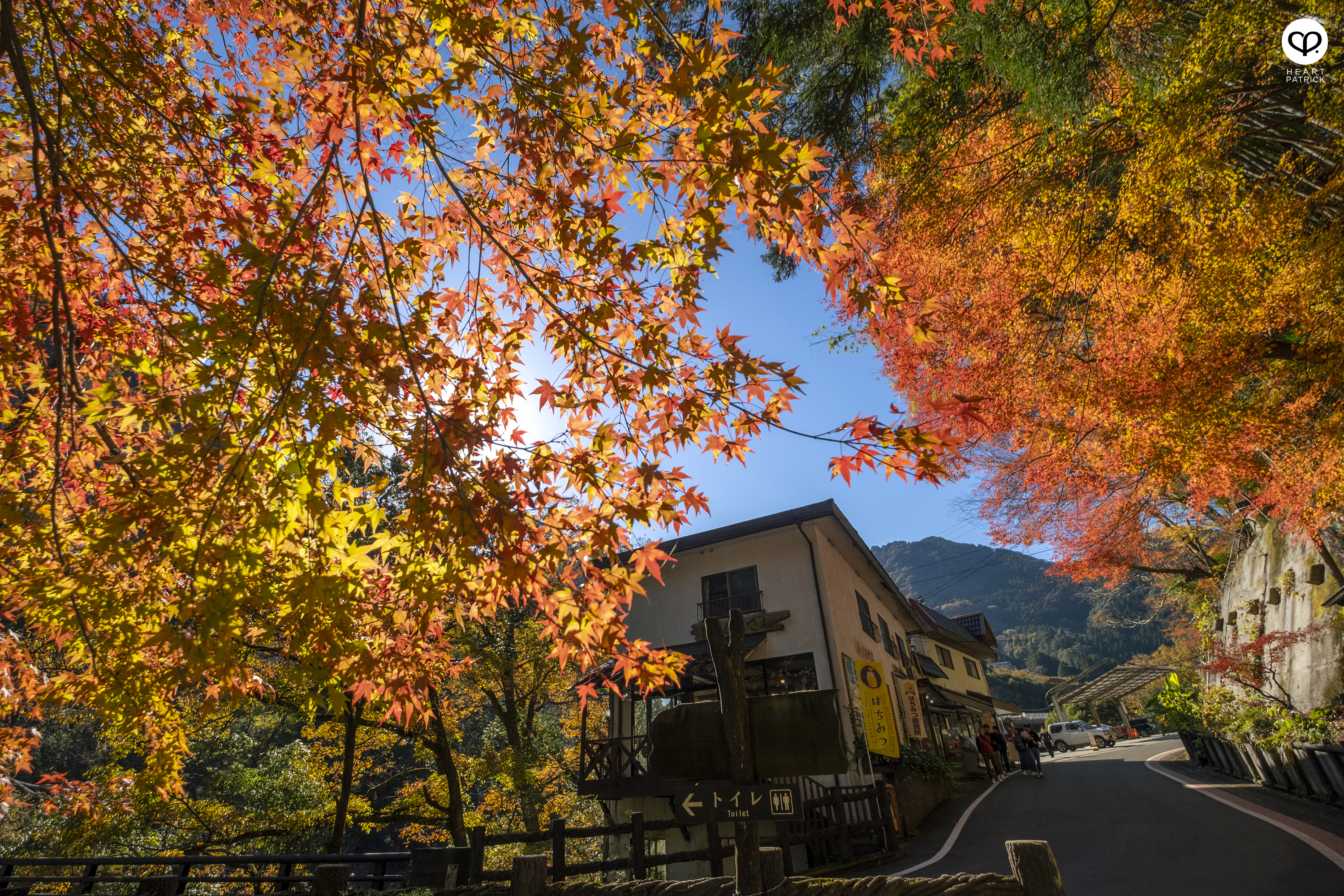 heartpatrick travel photography autumn iya valley tokushima japan