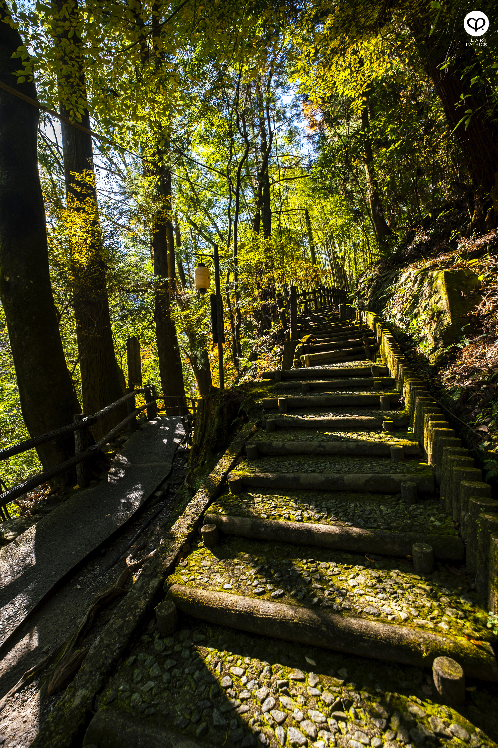 heartpatrick travel photography autumn iya valley tokushima japan