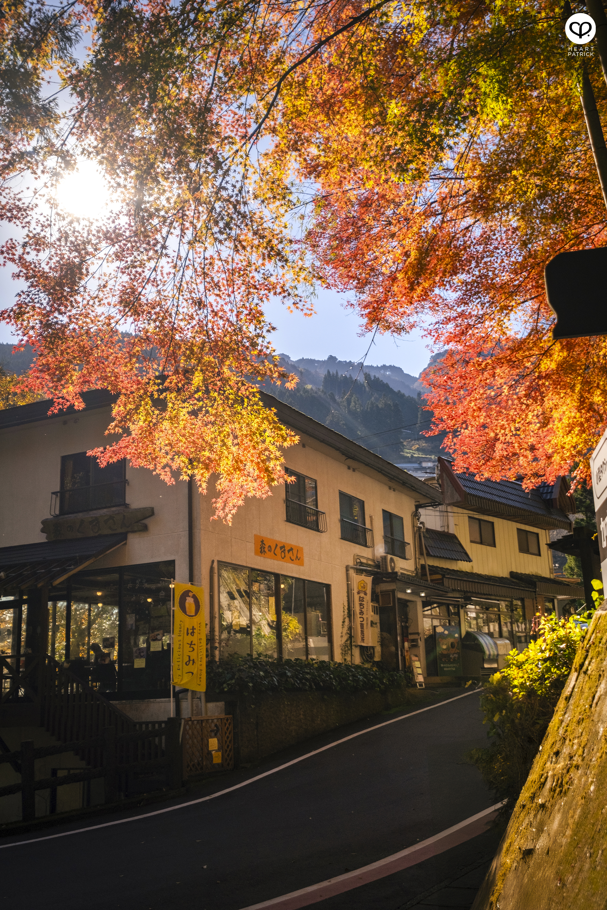 heartpatrick travel photography autumn iya valley tokushima japan
