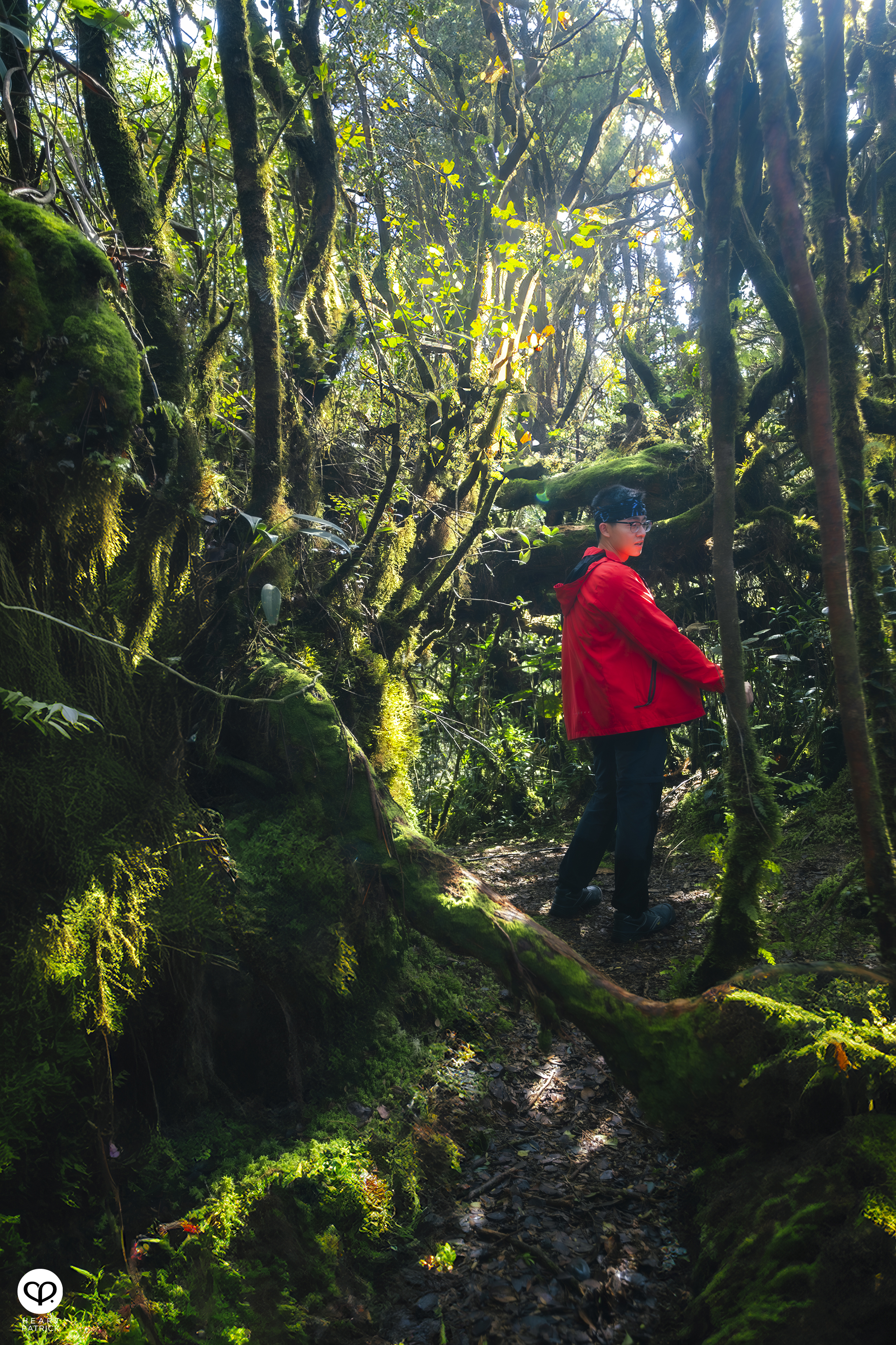 heartpatrick gunung lari tembakau mossy forest genting highlands hiking