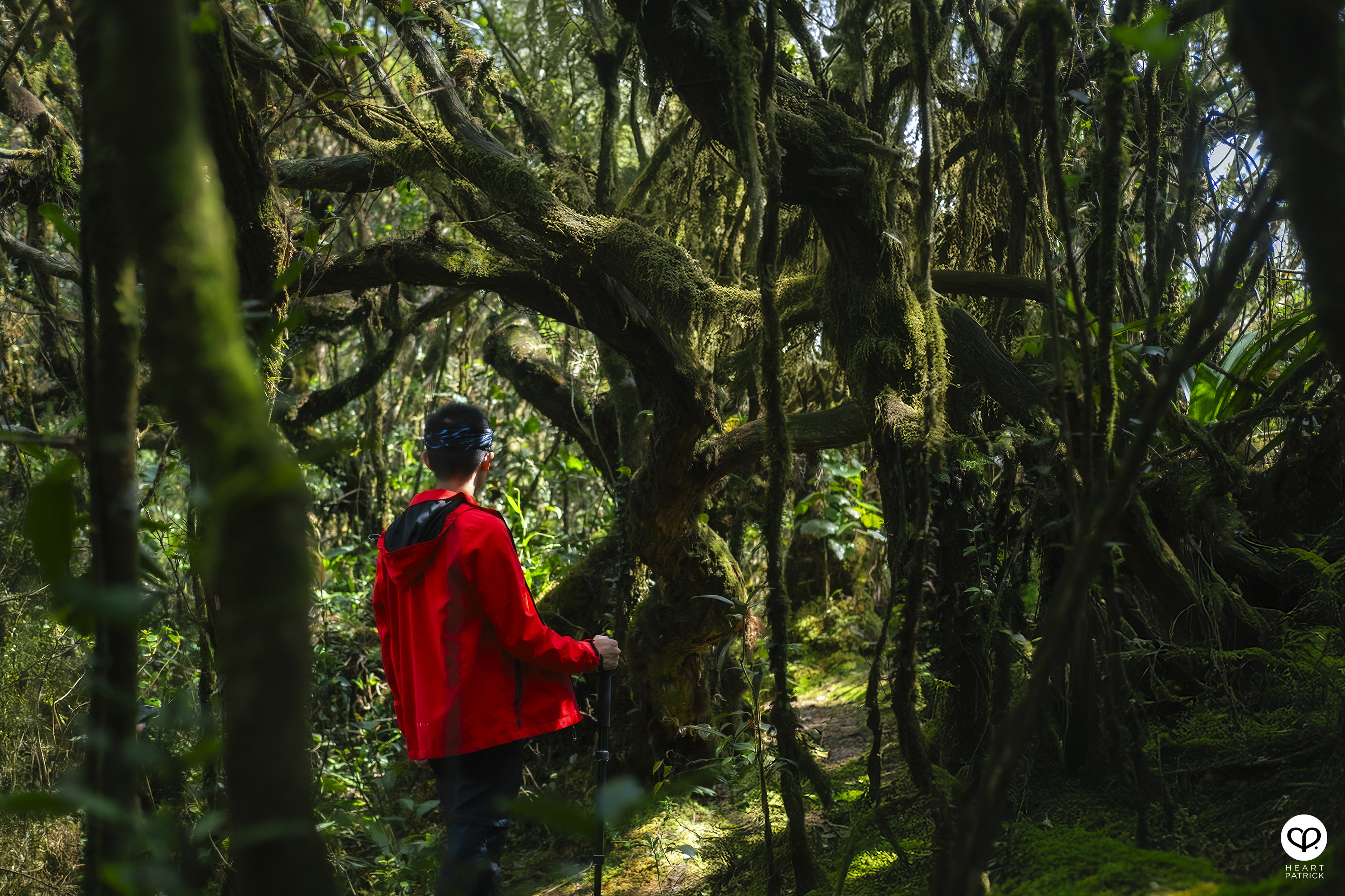 heartpatrick gunung lari tembakau mossy forest genting highlands hiking