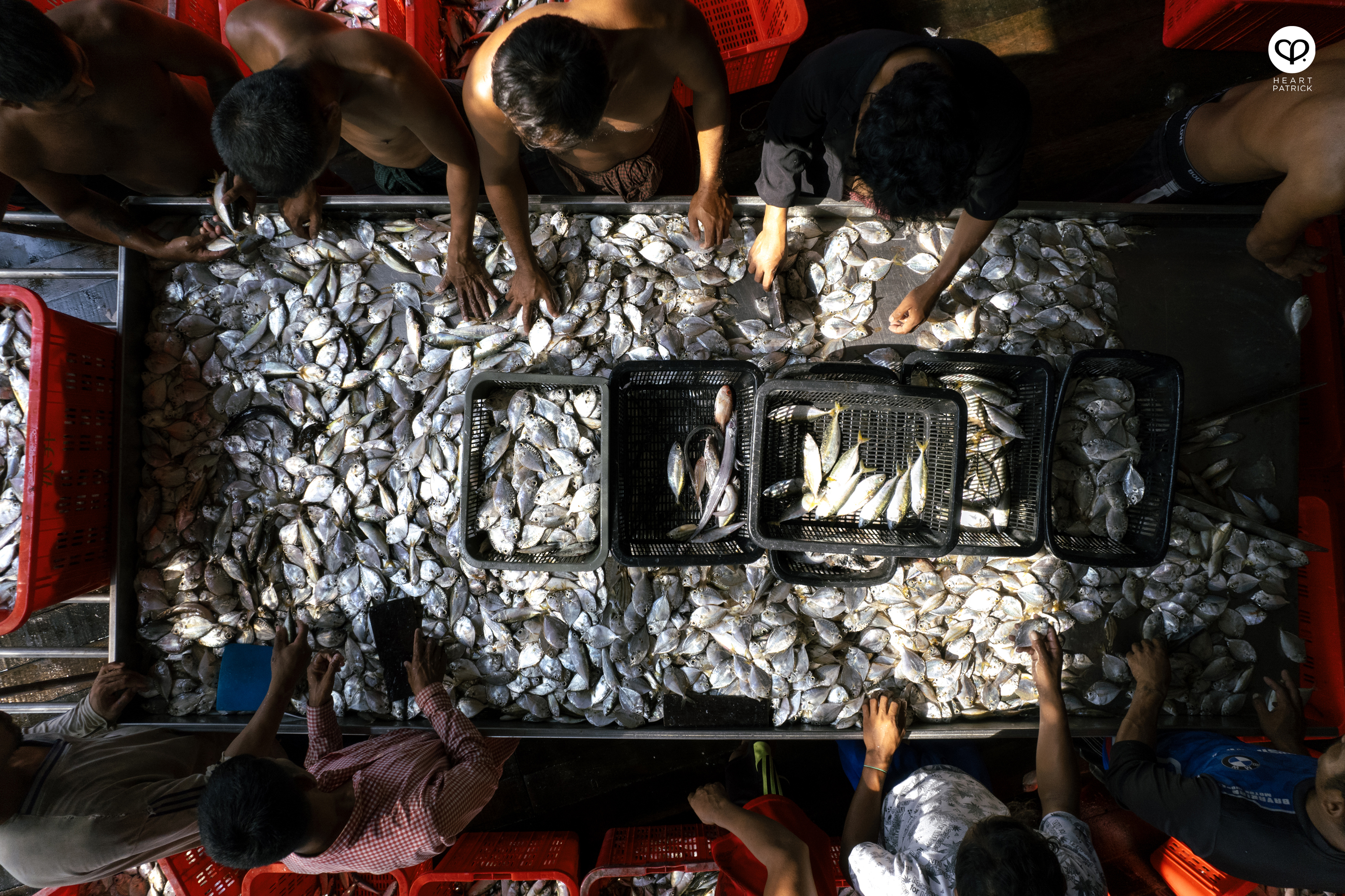 heartpatrick sungai pinang village pulau pangkor malaysia fishing