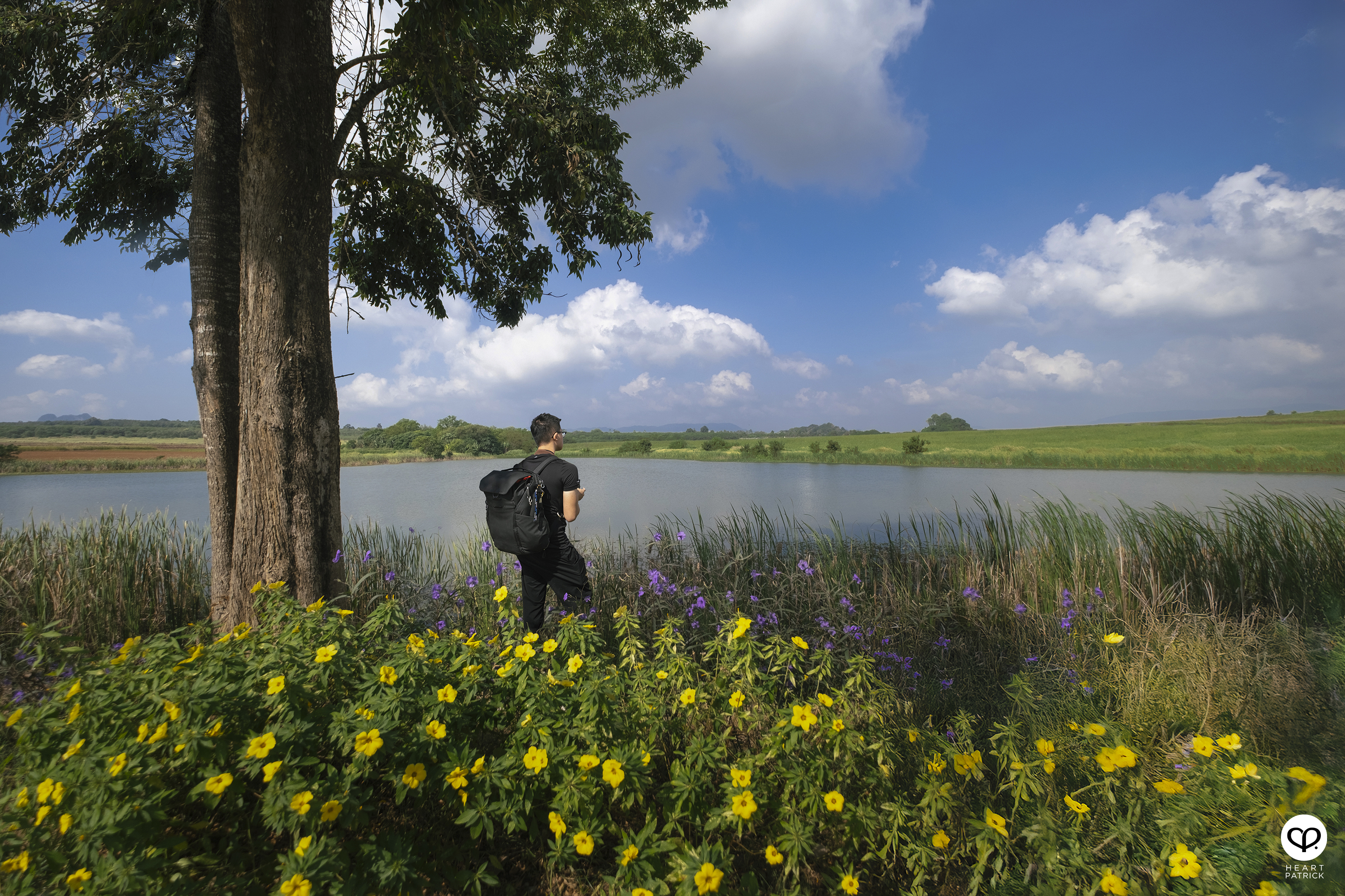heartpatrick travel street heritage aerial photography perlis malaysia