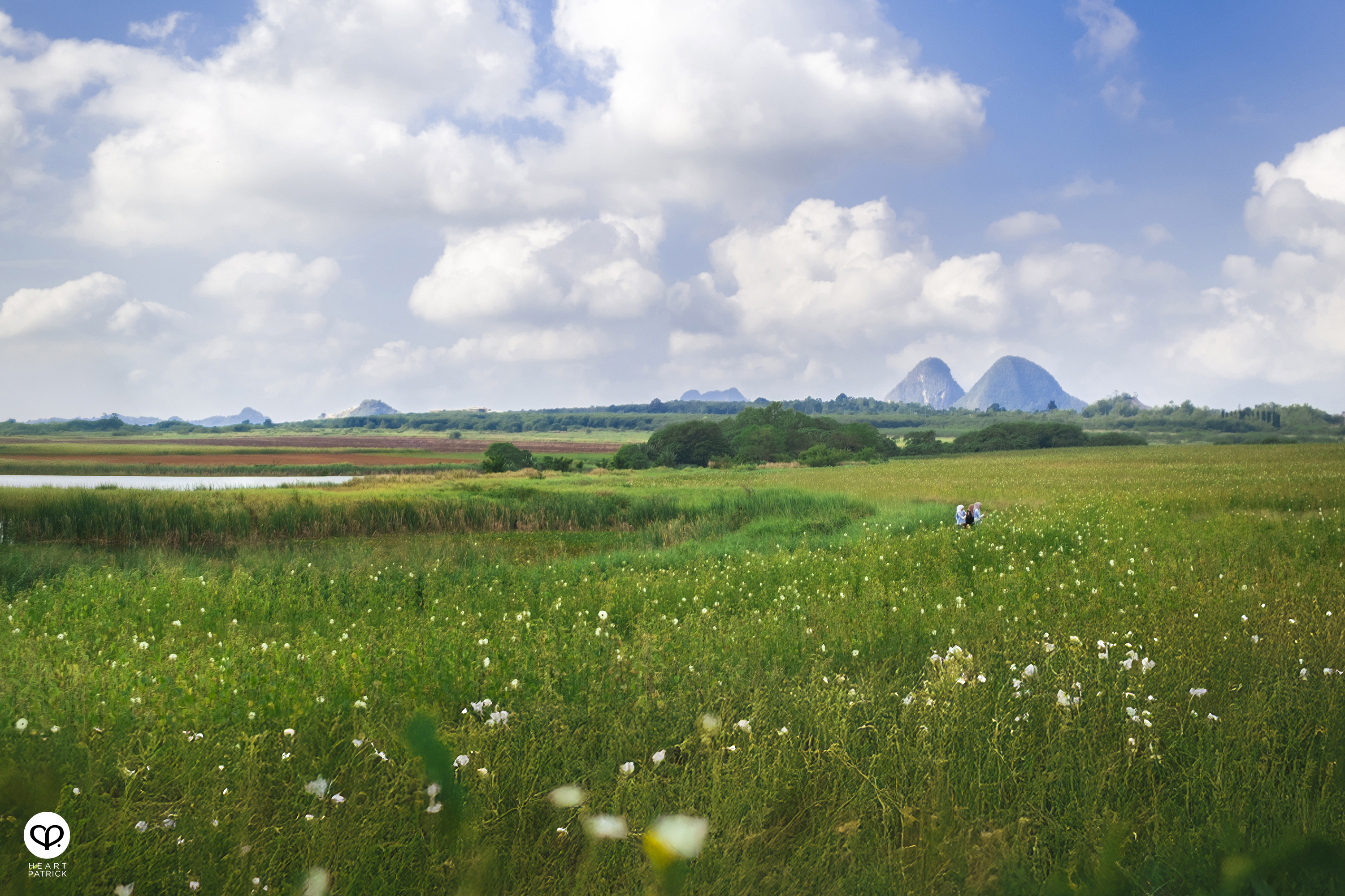 heartpatrick travel street heritage aerial photography perlis malaysia