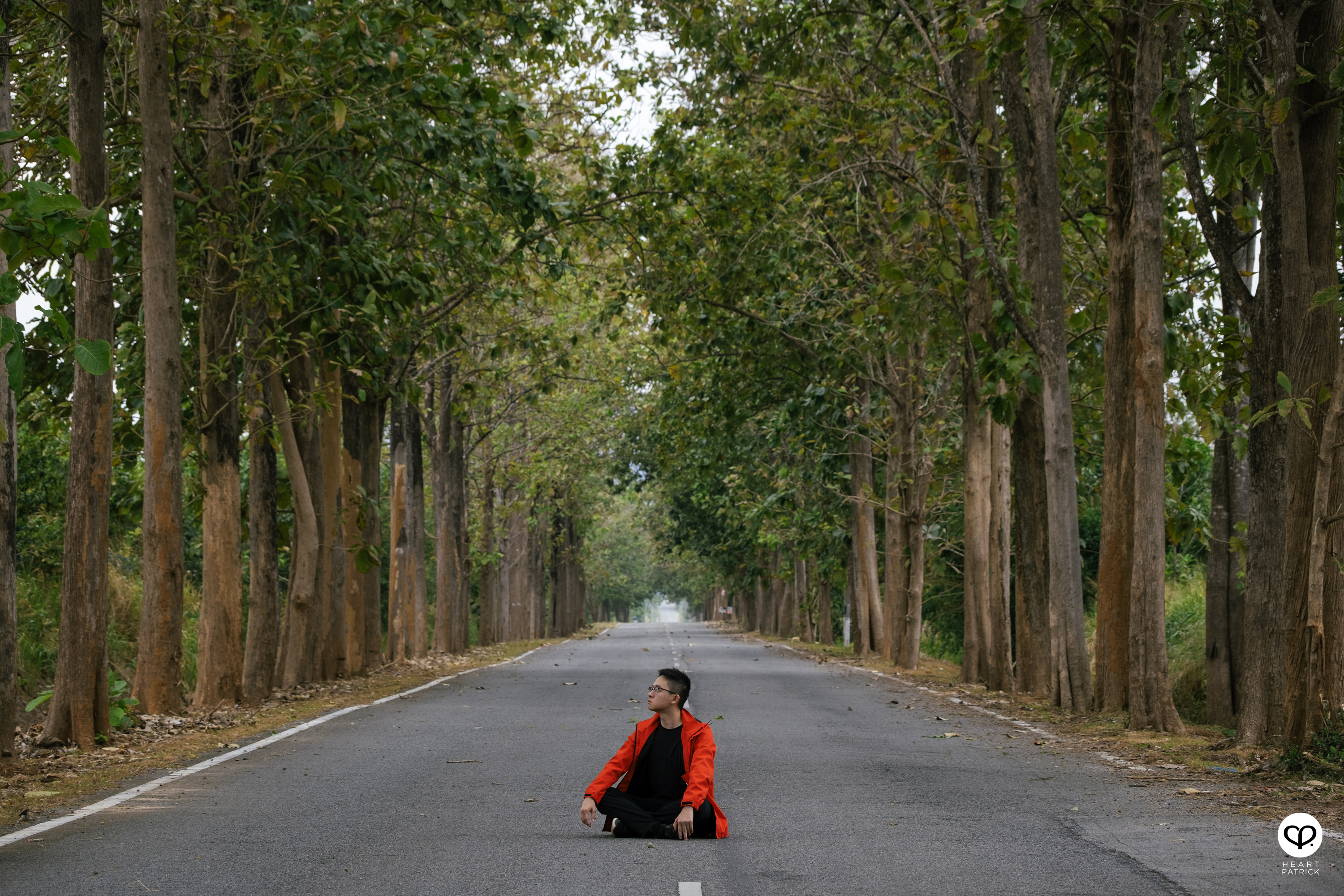 heartpatrick travel street heritage aerial photography perlis malaysia