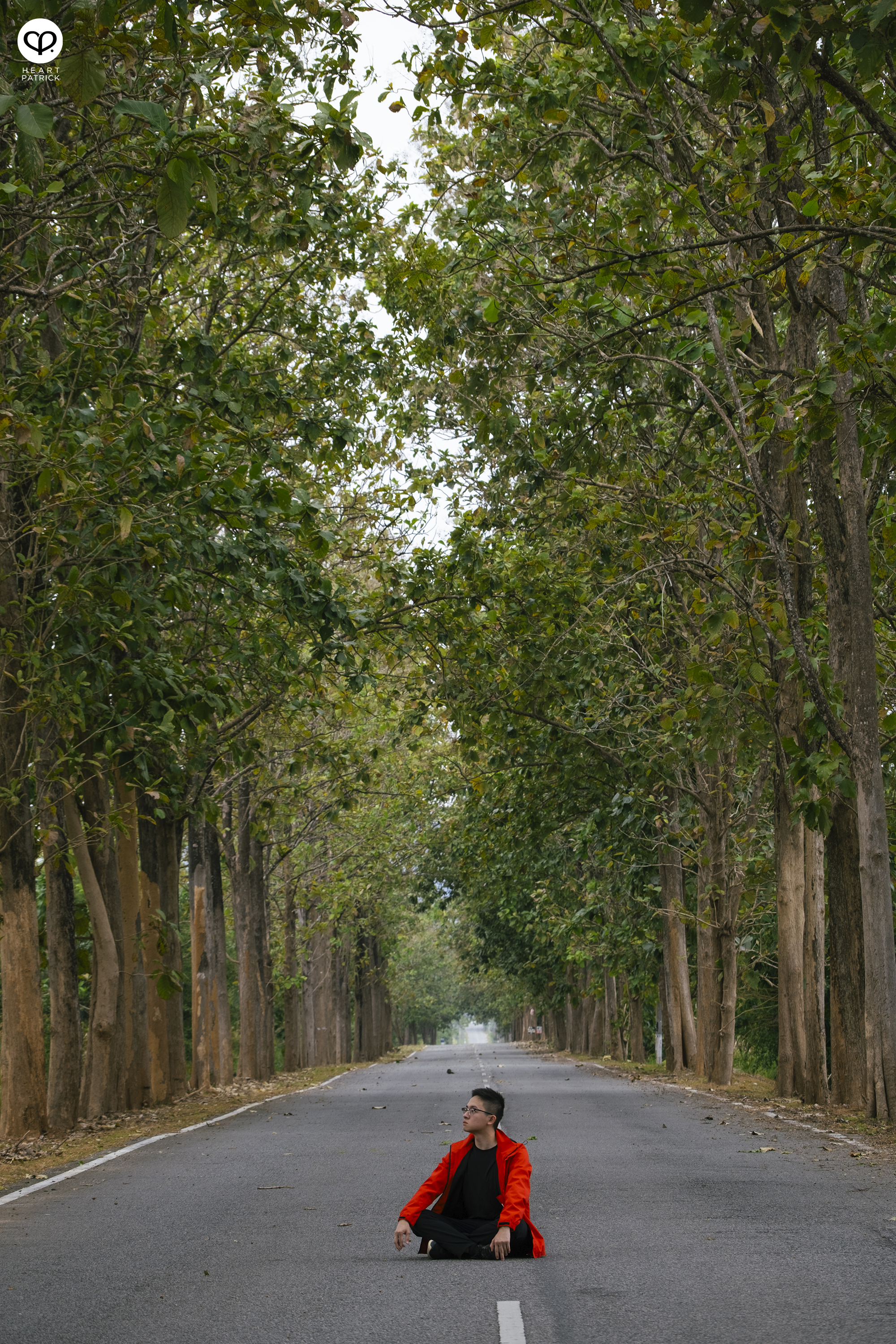 heartpatrick travel street heritage aerial photography perlis malaysia