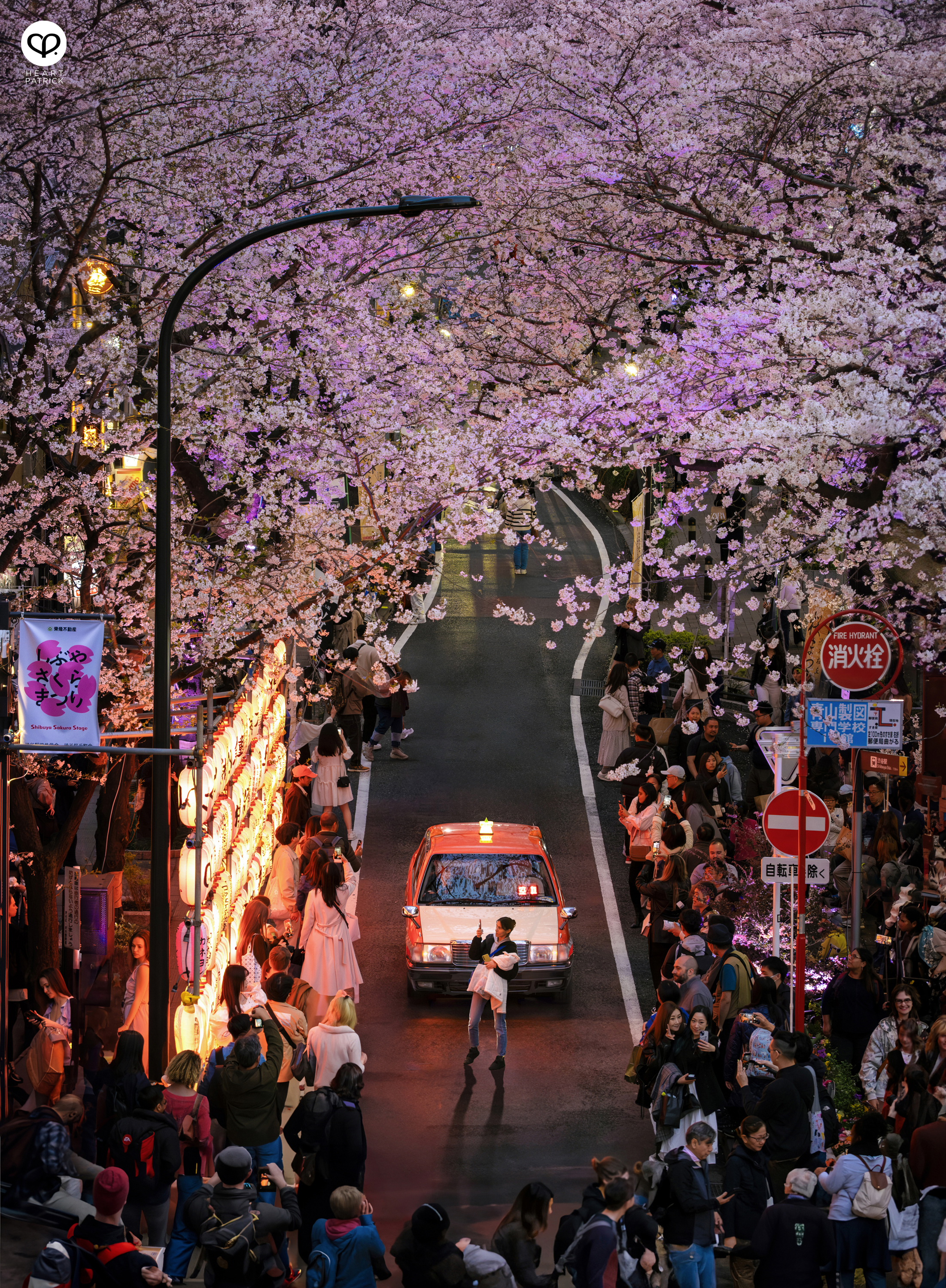 heartpatrick travel sakura hanami spring shibuya tokyo japan street photography