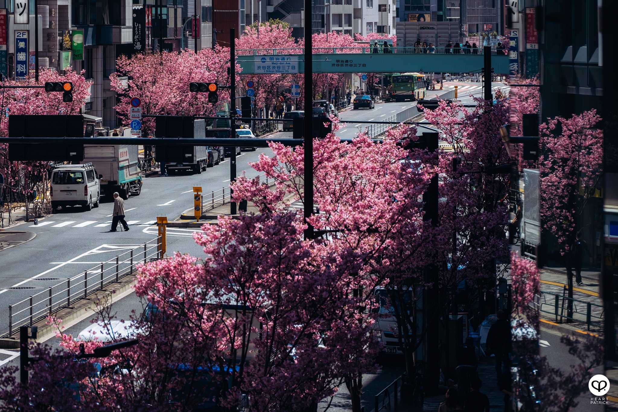 heartpatrick travel sakura hanami spring shibuya tokyo japan street photography