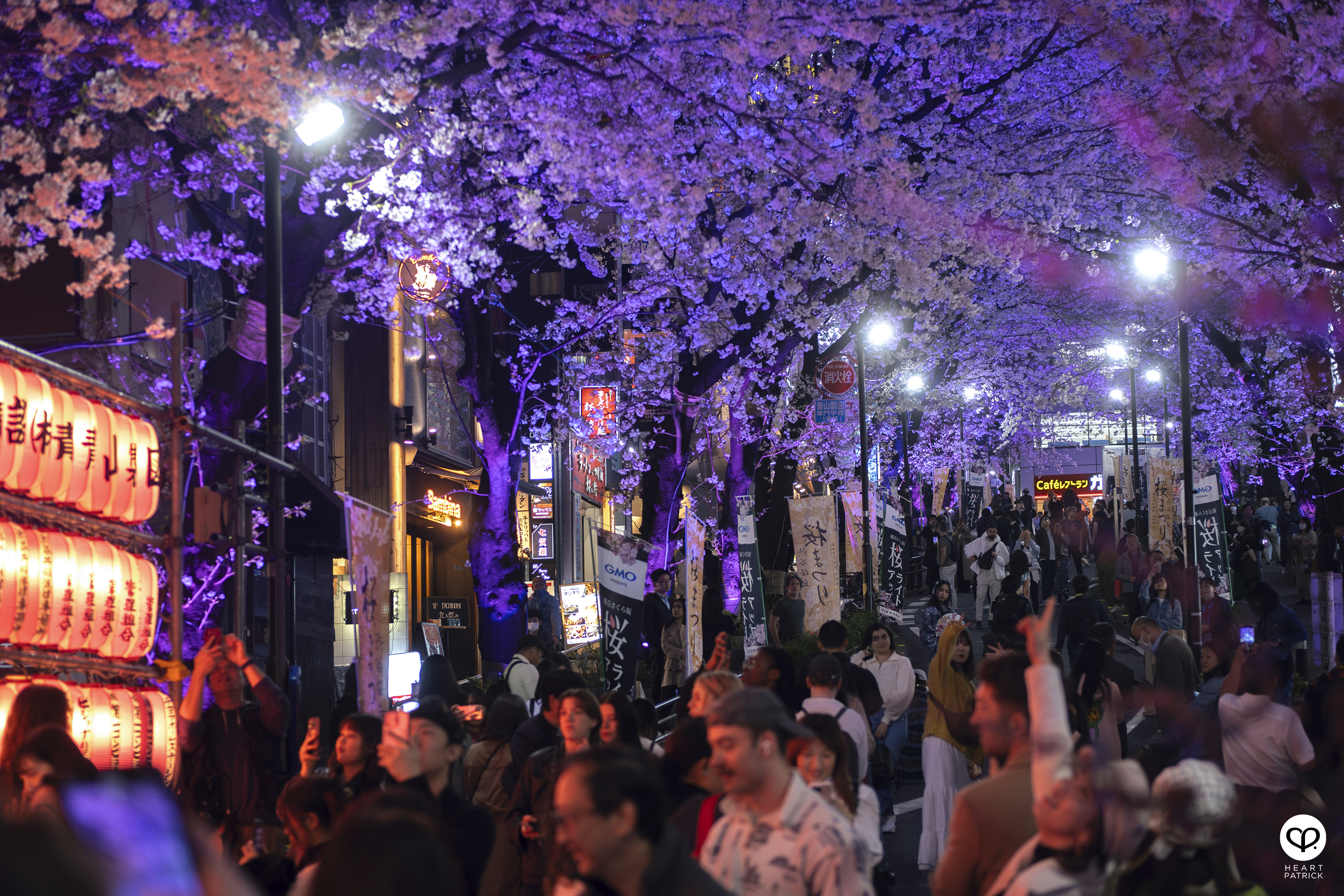 heartpatrick travel sakura hanami spring shibuya tokyo japan street photography