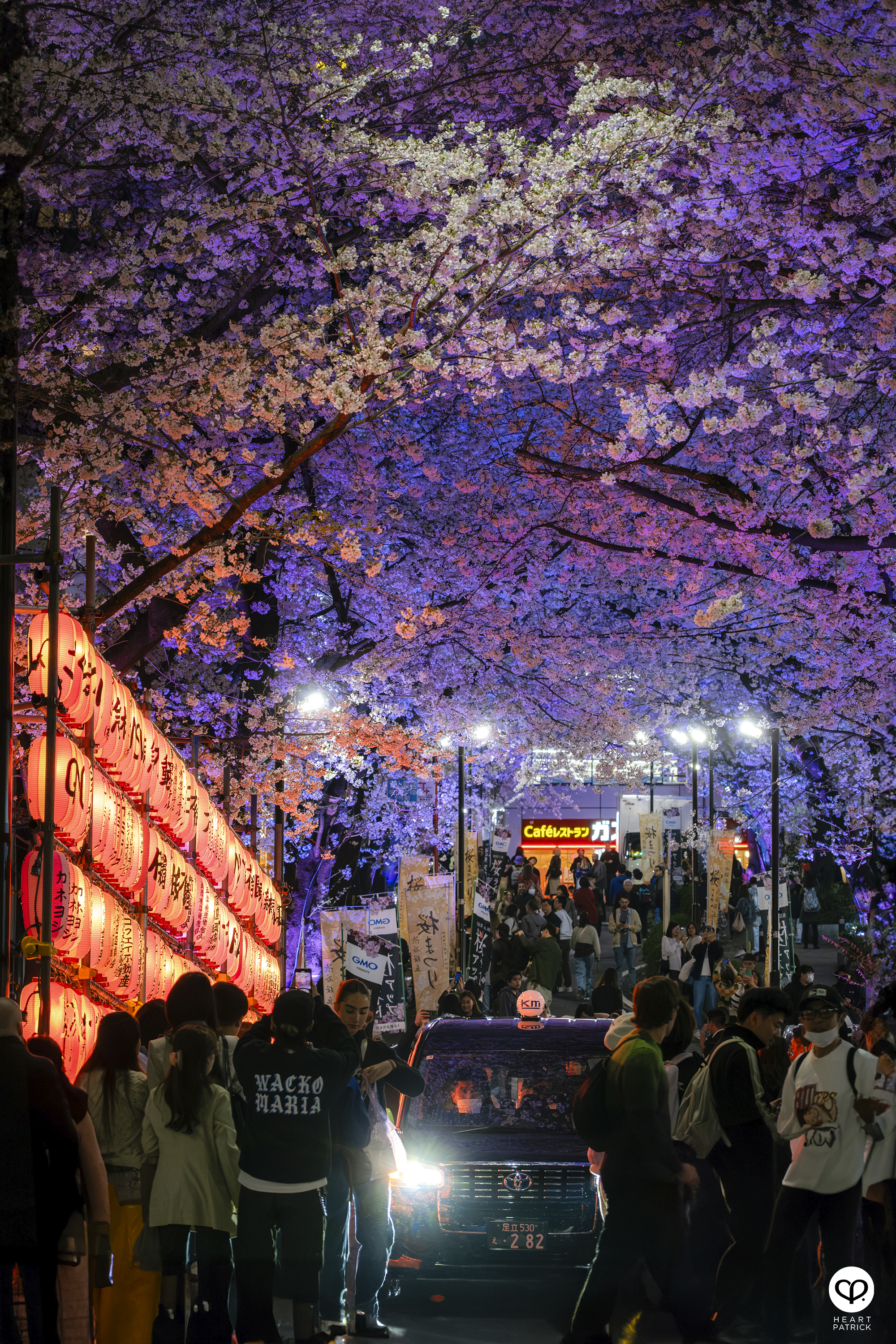 heartpatrick travel sakura hanami spring shibuya tokyo japan street photography