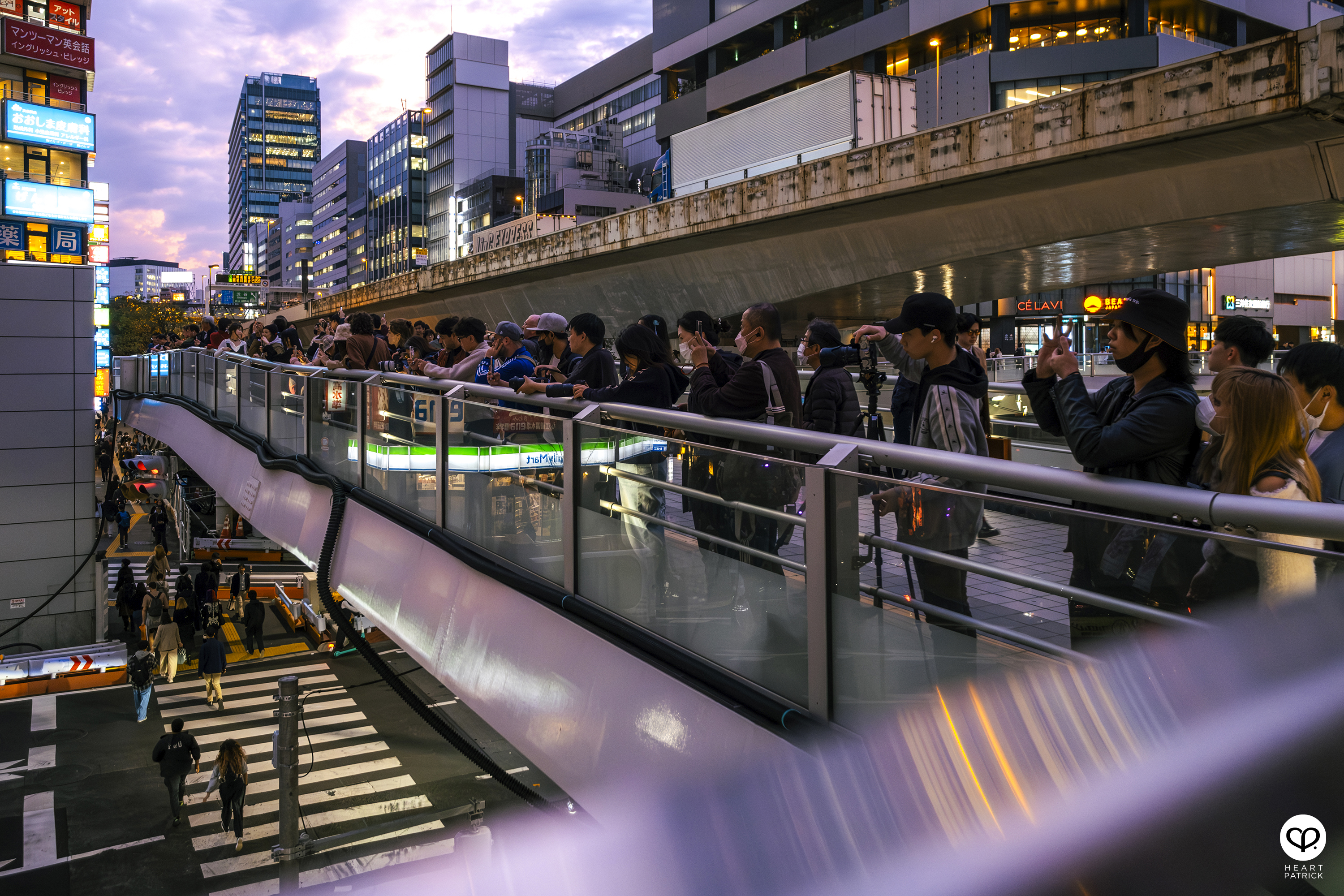 heartpatrick travel sakura hanami spring shibuya tokyo japan street photography