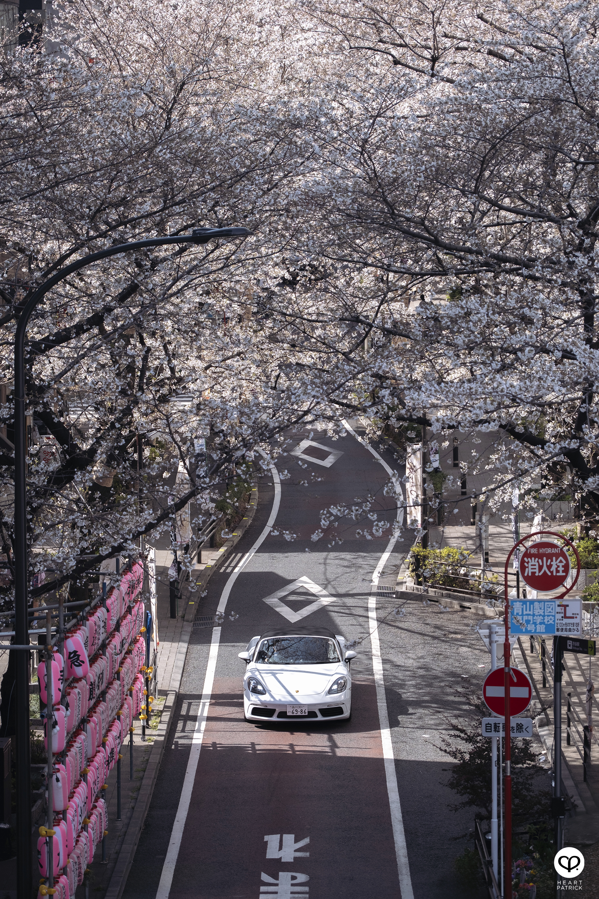 heartpatrick travel sakura hanami spring shibuya tokyo japan street photography