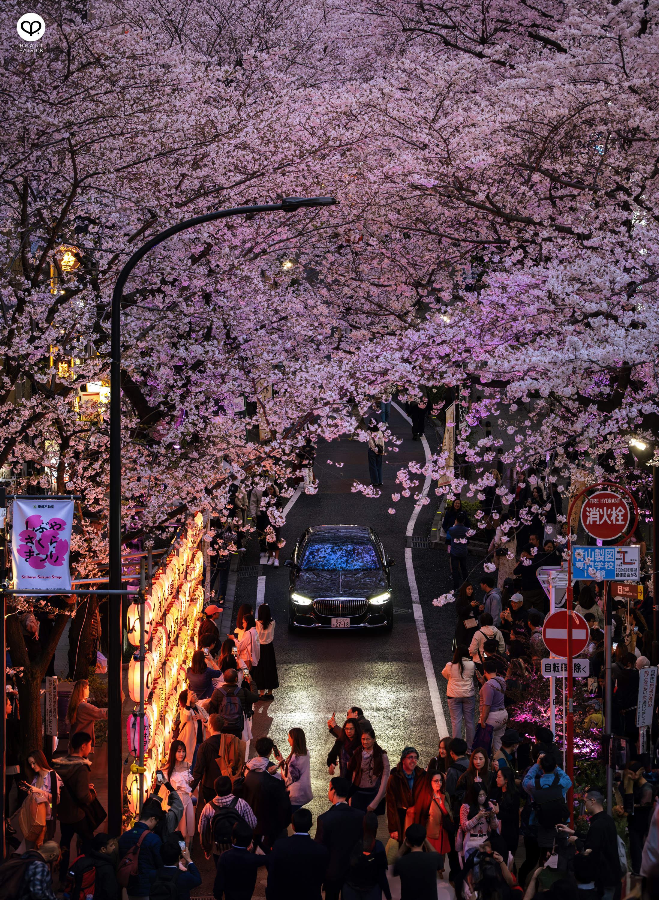 heartpatrick travel sakura hanami spring shibuya tokyo japan street photography