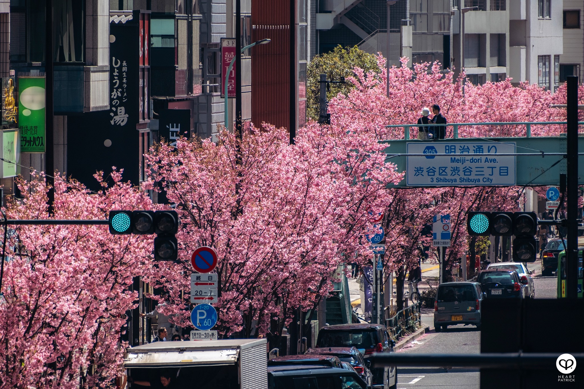 heartpatrick travel sakura hanami spring shibuya tokyo japan street photography