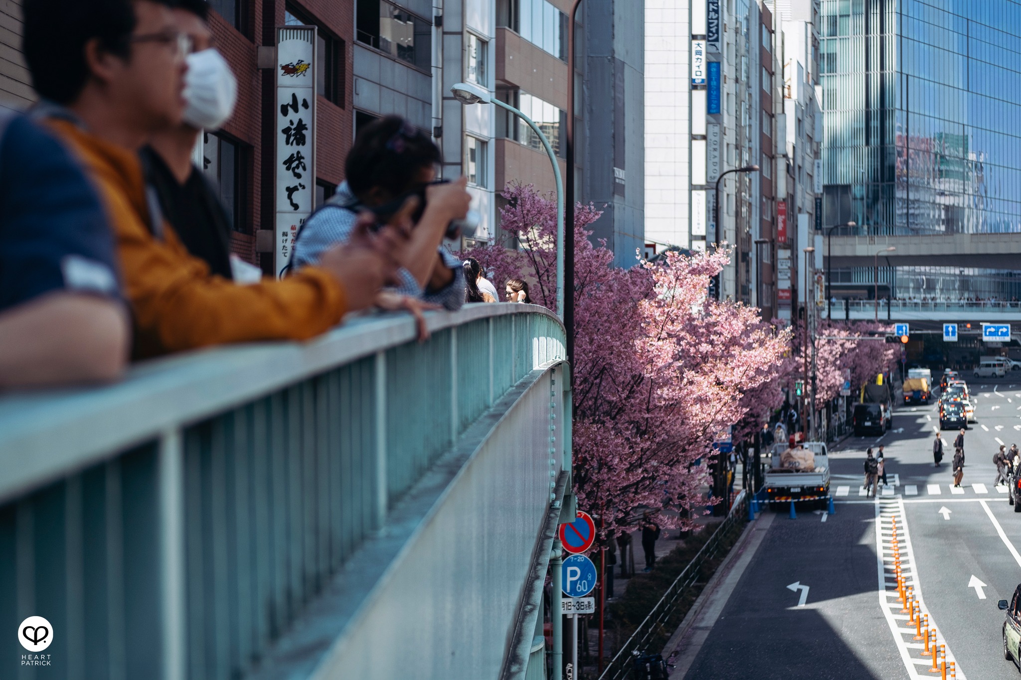 heartpatrick travel sakura hanami spring shibuya tokyo japan street photography