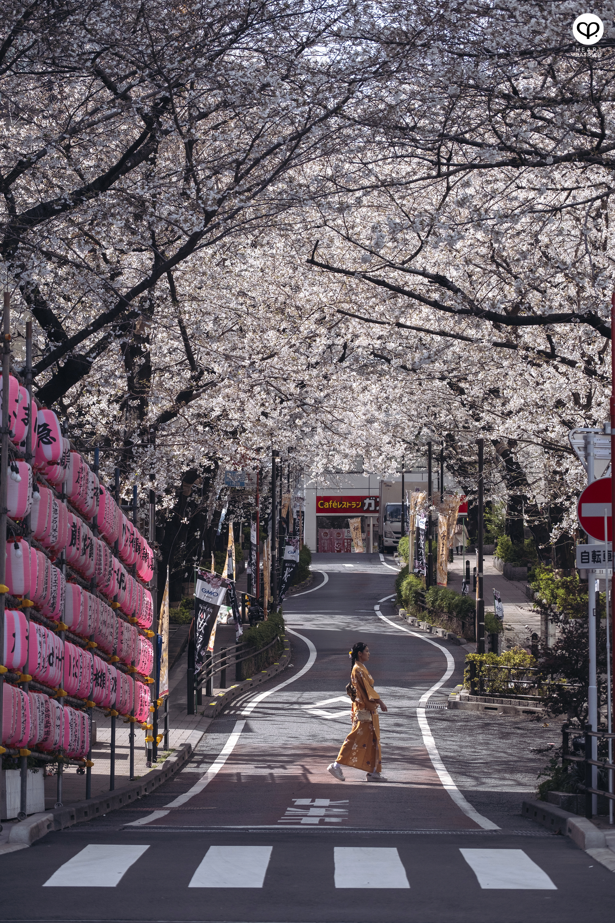 heartpatrick travel sakura hanami spring shibuya tokyo japan street photography